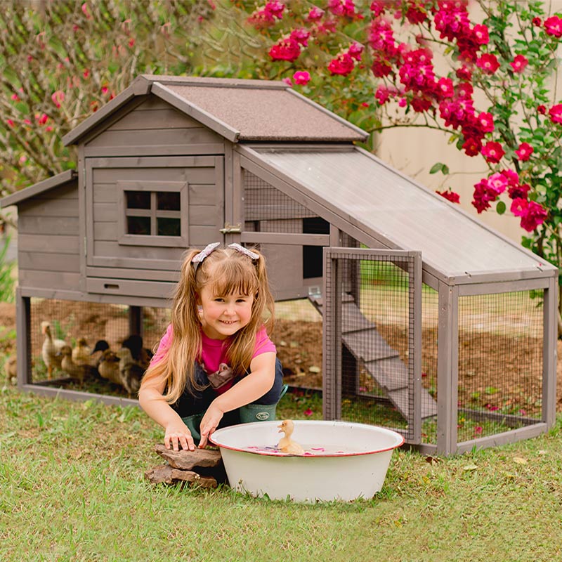 Wooden Chicken Coop on Wheels AIR23, Backyard Chicken Cage for 2-3 Hens