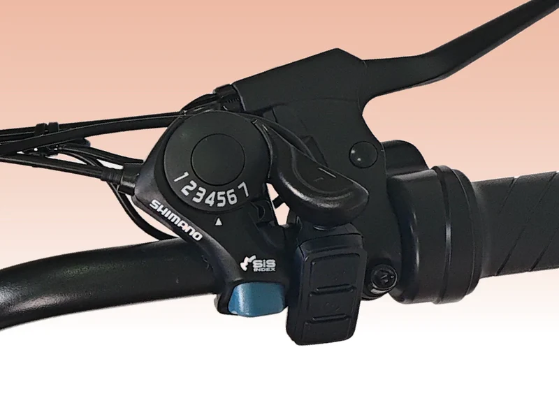 ⚡️Factory wholesale promotion 80% OFF⚡️ F02 Electric Bike | 1000W Motor | 28 MPH Top Speed | Up to 50 Miles | NFC Smart Unlock