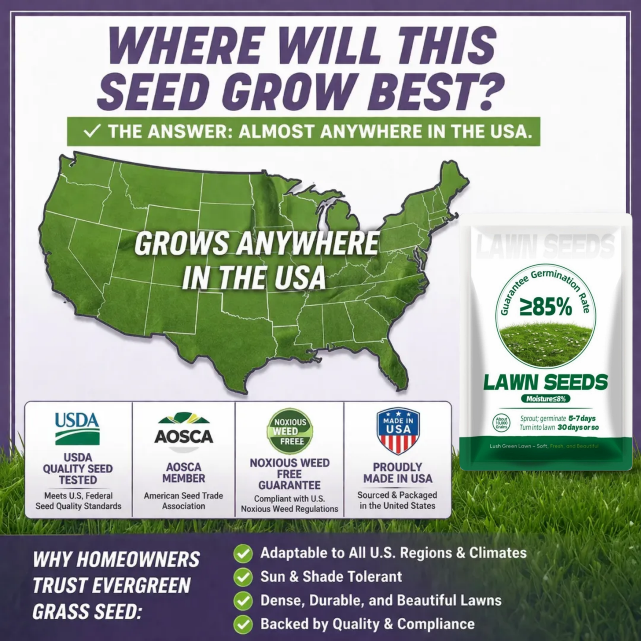 🌱2026 Advanced Lawn Seed for Thicker, Greener Turf