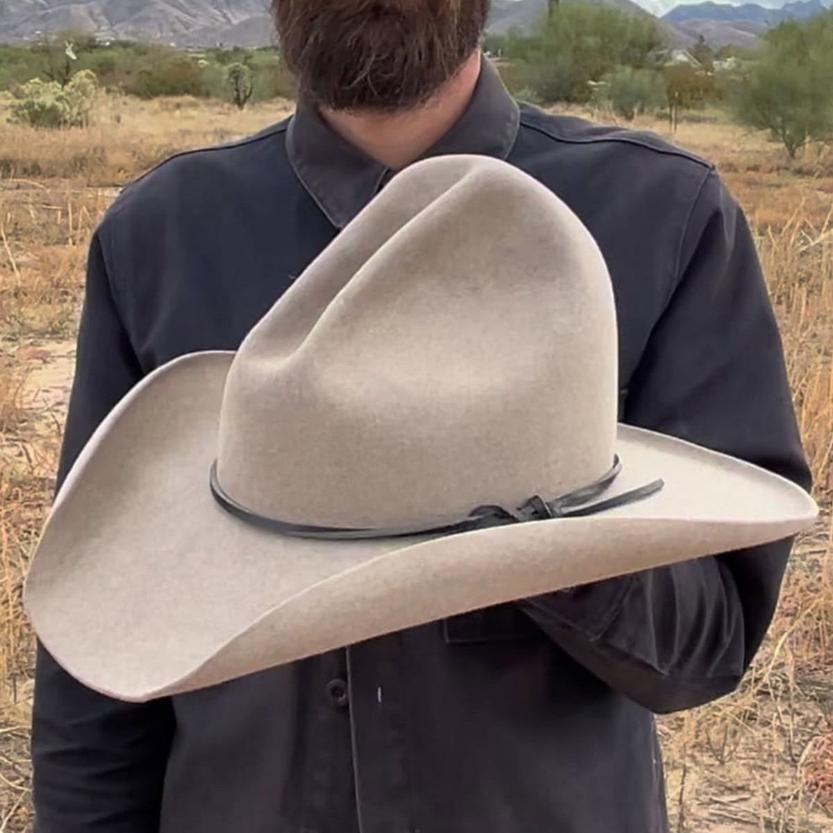 Desert Wind