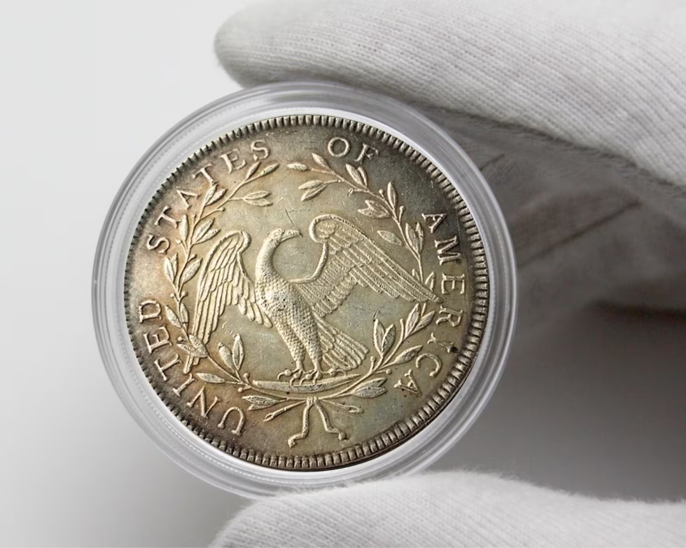 🔥Limited Stock⭐️The Complete Set Of 1794-1804 Liberty Flowing Hair Silver Dollar(11Pcs)