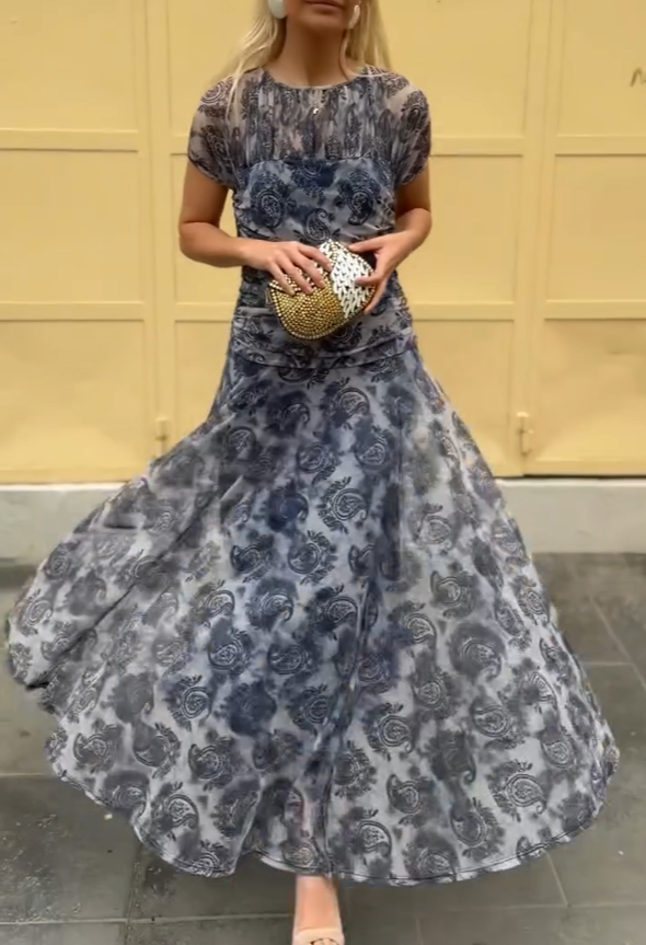 Paisley Printed Chiffon Long Skirt