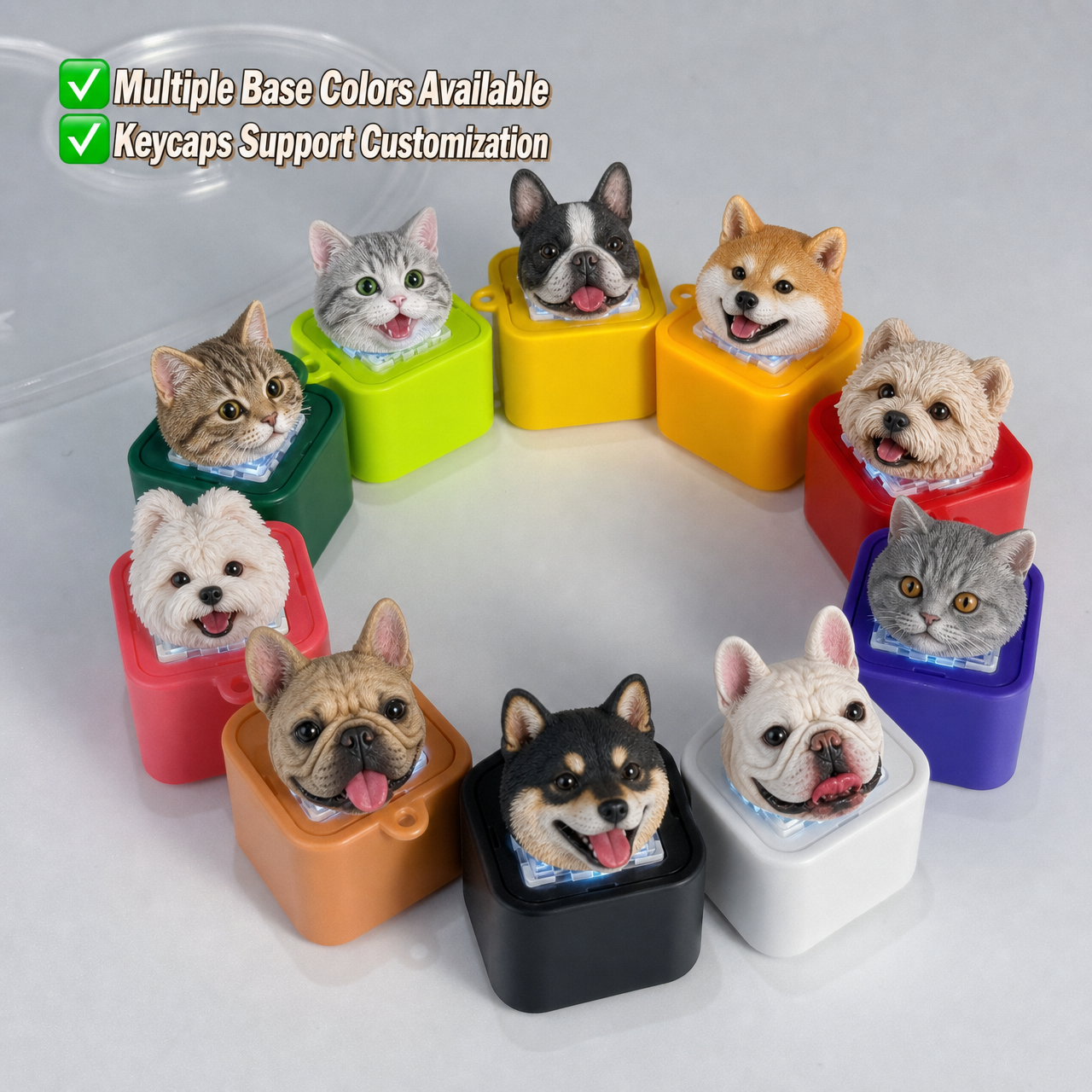 Personalized pet-themed keychain with recording function, charging button, and speaker