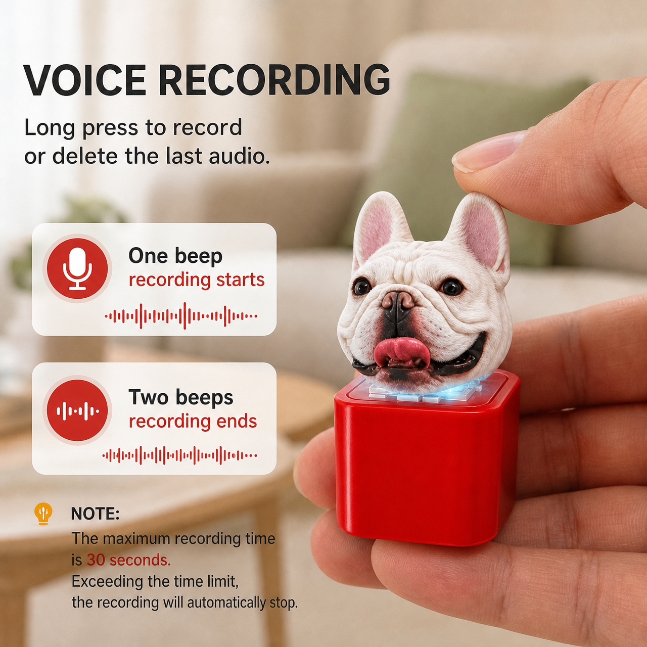 Personalized pet-themed keychain with recording function, charging button, and speaker