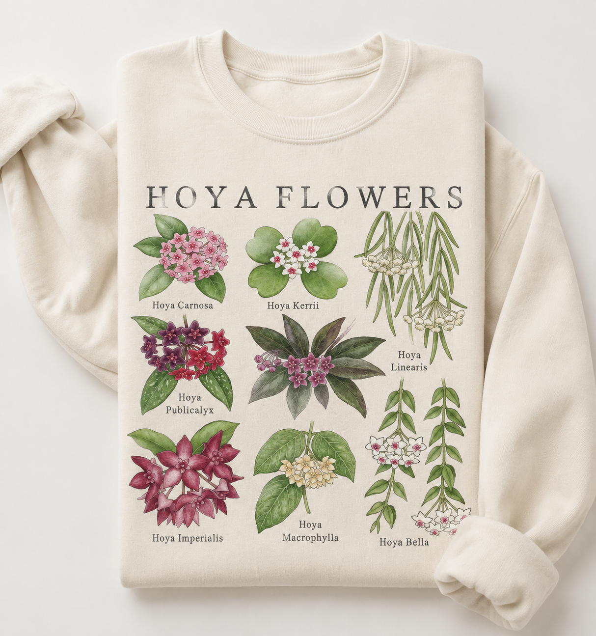 Vintage Hoya Plant Sweatshirt