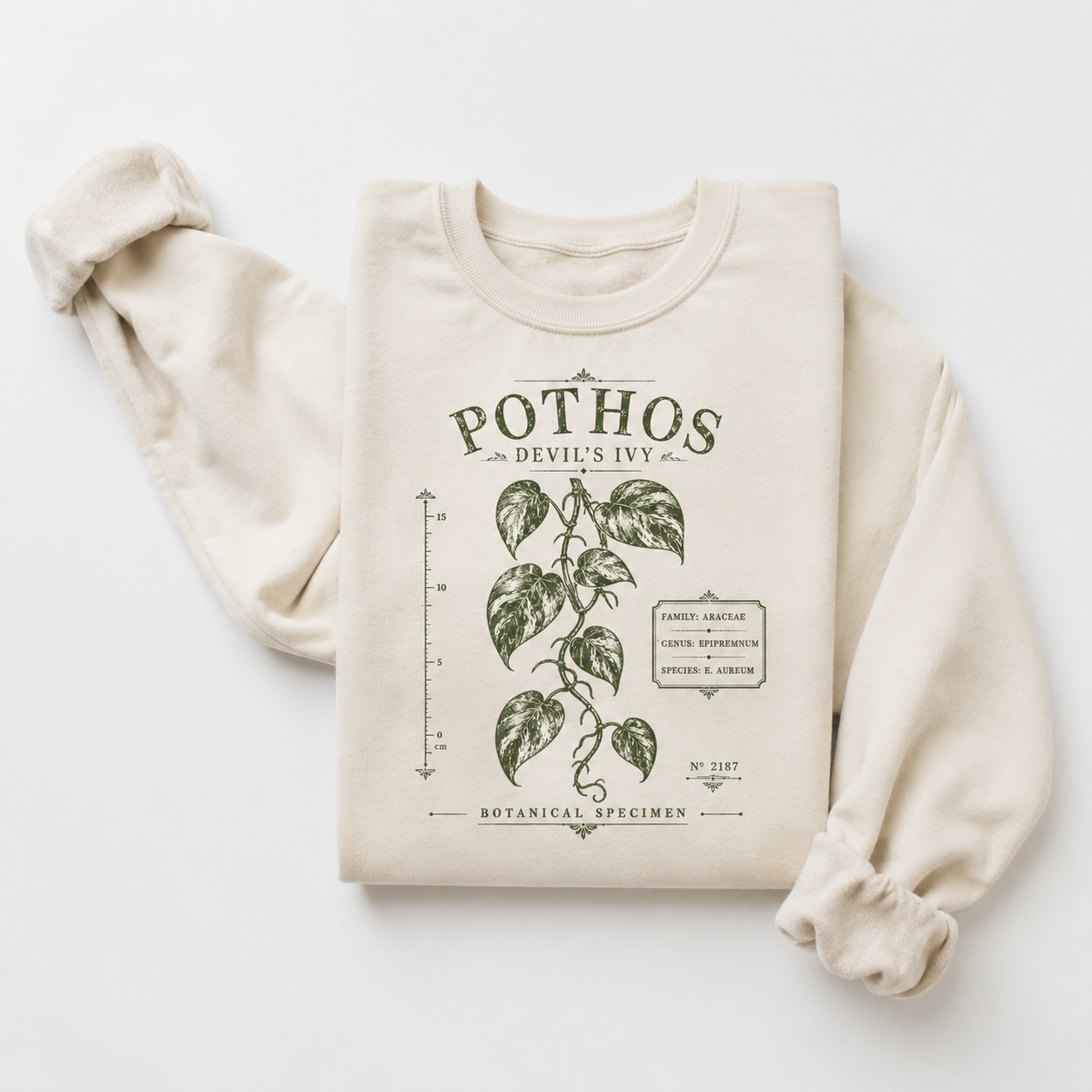Pothos Devil’s Ivy Botanical Sweatshirt