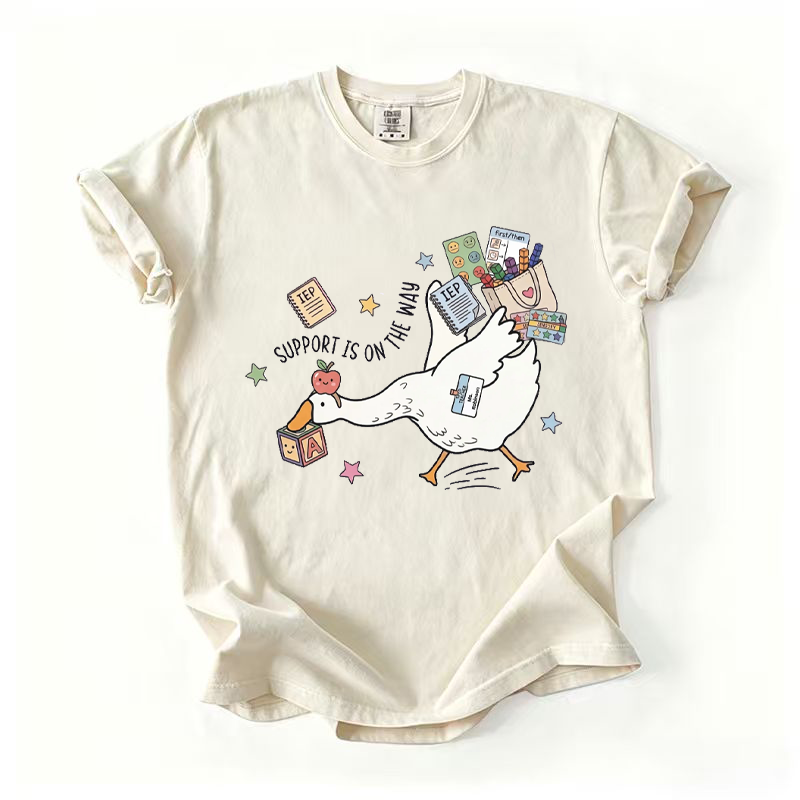 Silly Goose Special Education Teacher T-shirt
