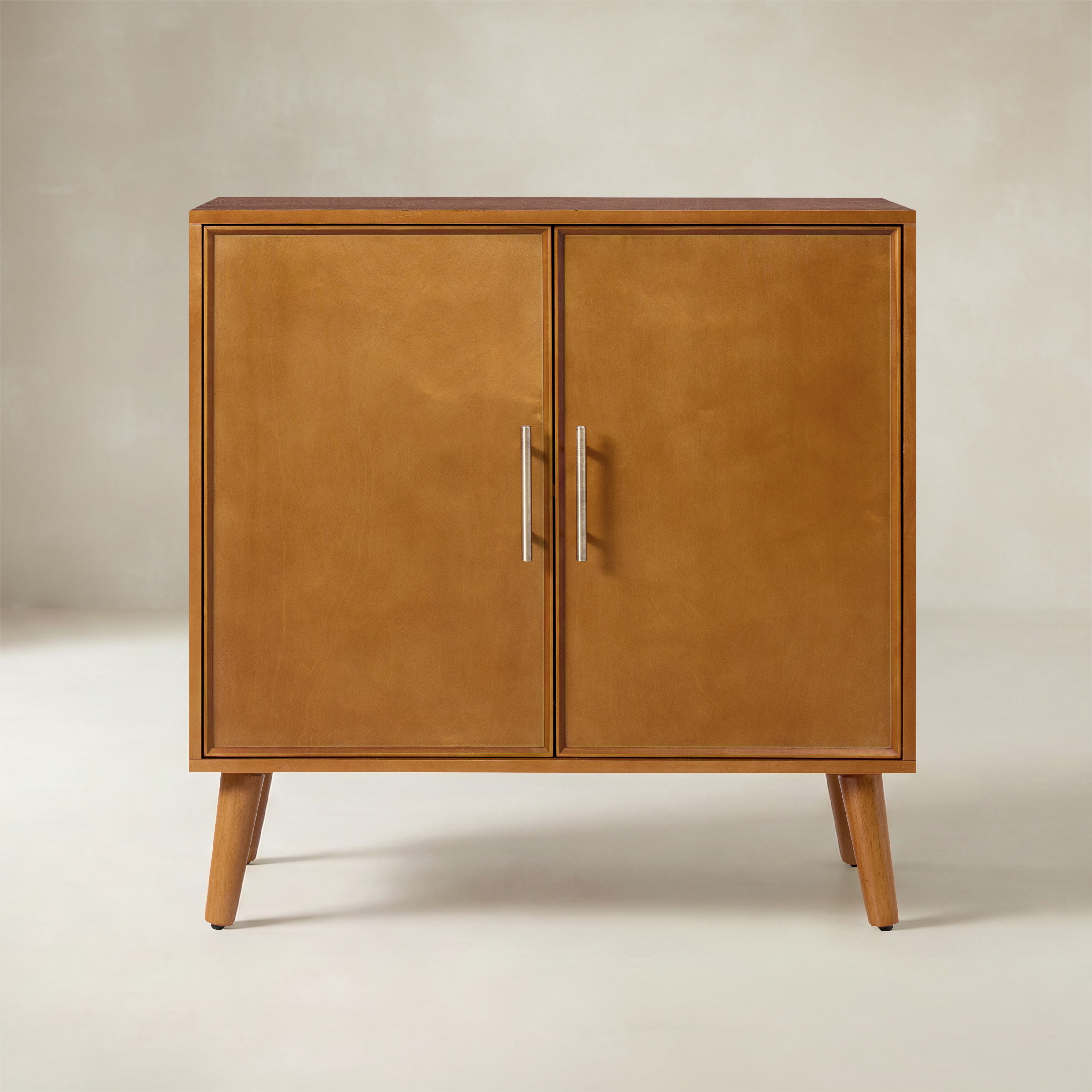 Anita 2-Door Accent Cabinet with Adjustable Shelves