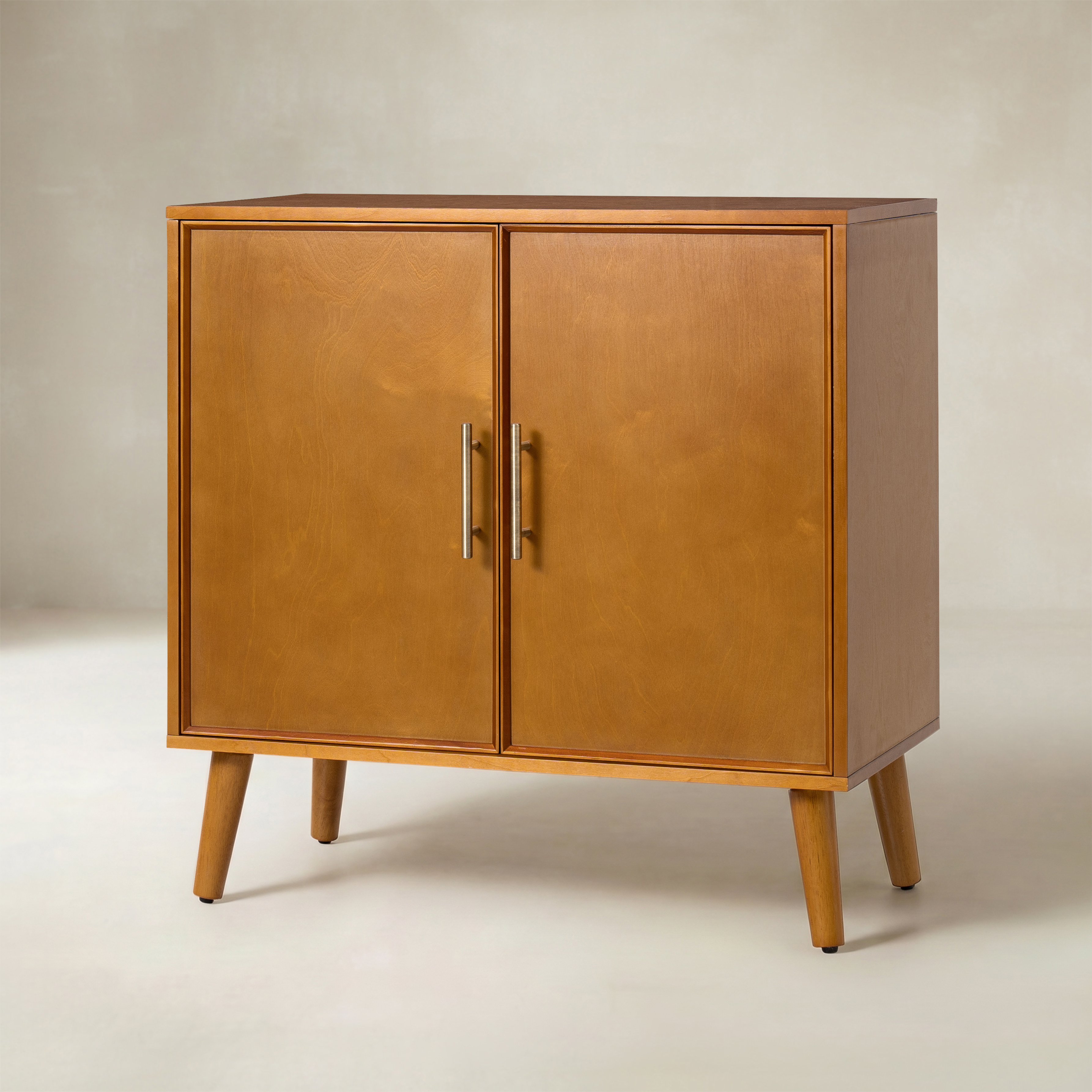 Anita 2-Door Accent Cabinet with Adjustable Shelves