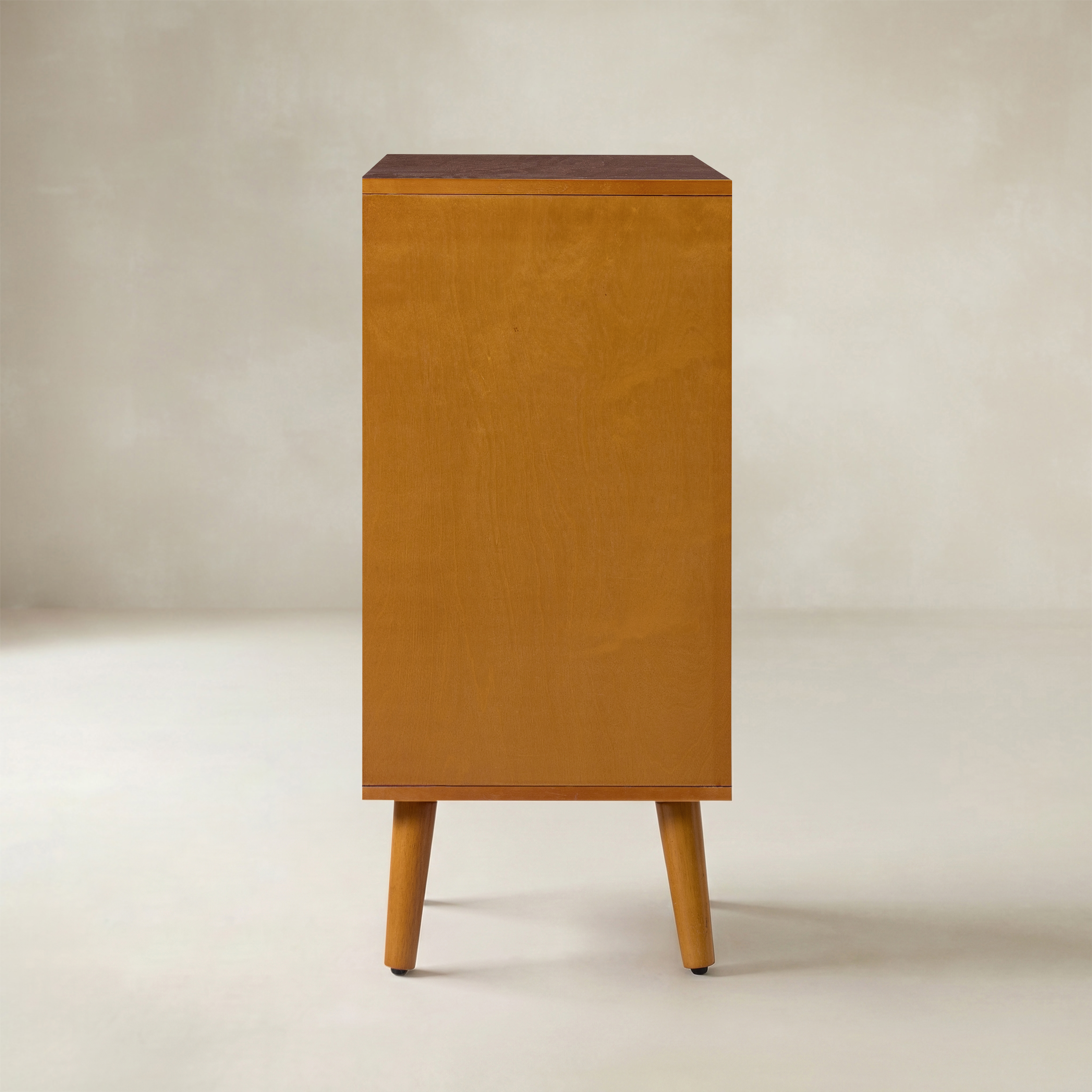 Anita 2-Door Accent Cabinet with Adjustable Shelves