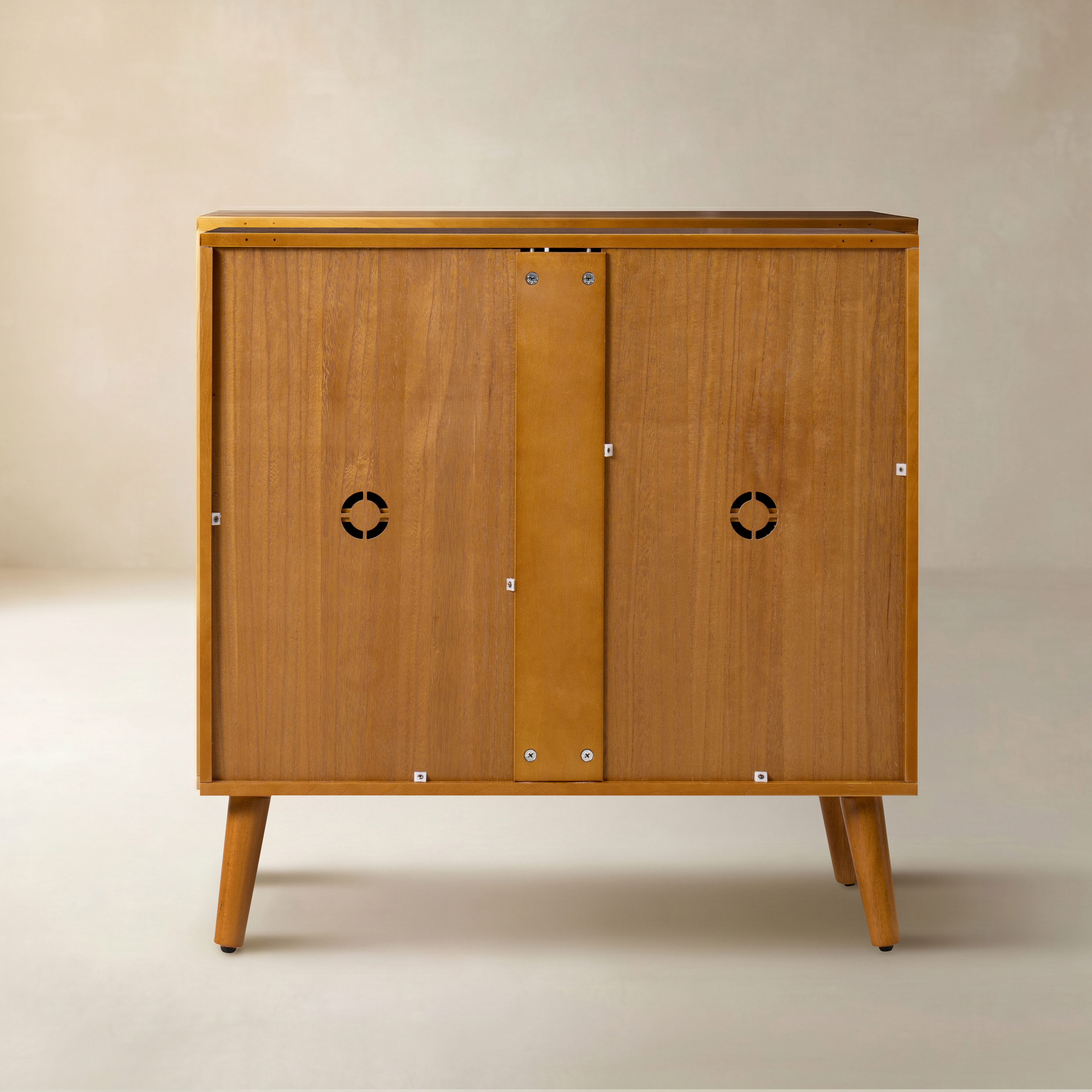 Anita 2-Door Accent Cabinet with Adjustable Shelves