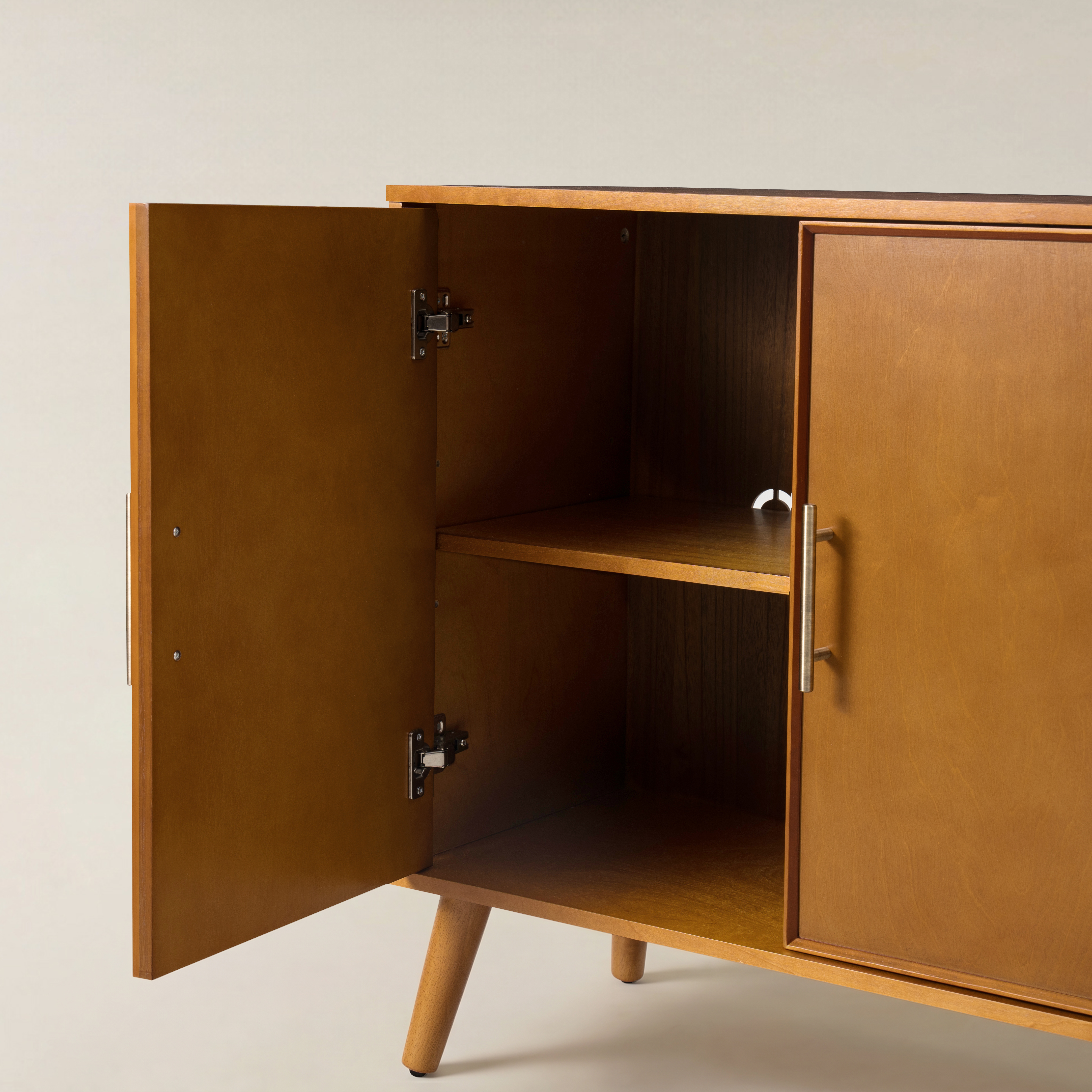 Anita 2-Door Accent Cabinet with Adjustable Shelves