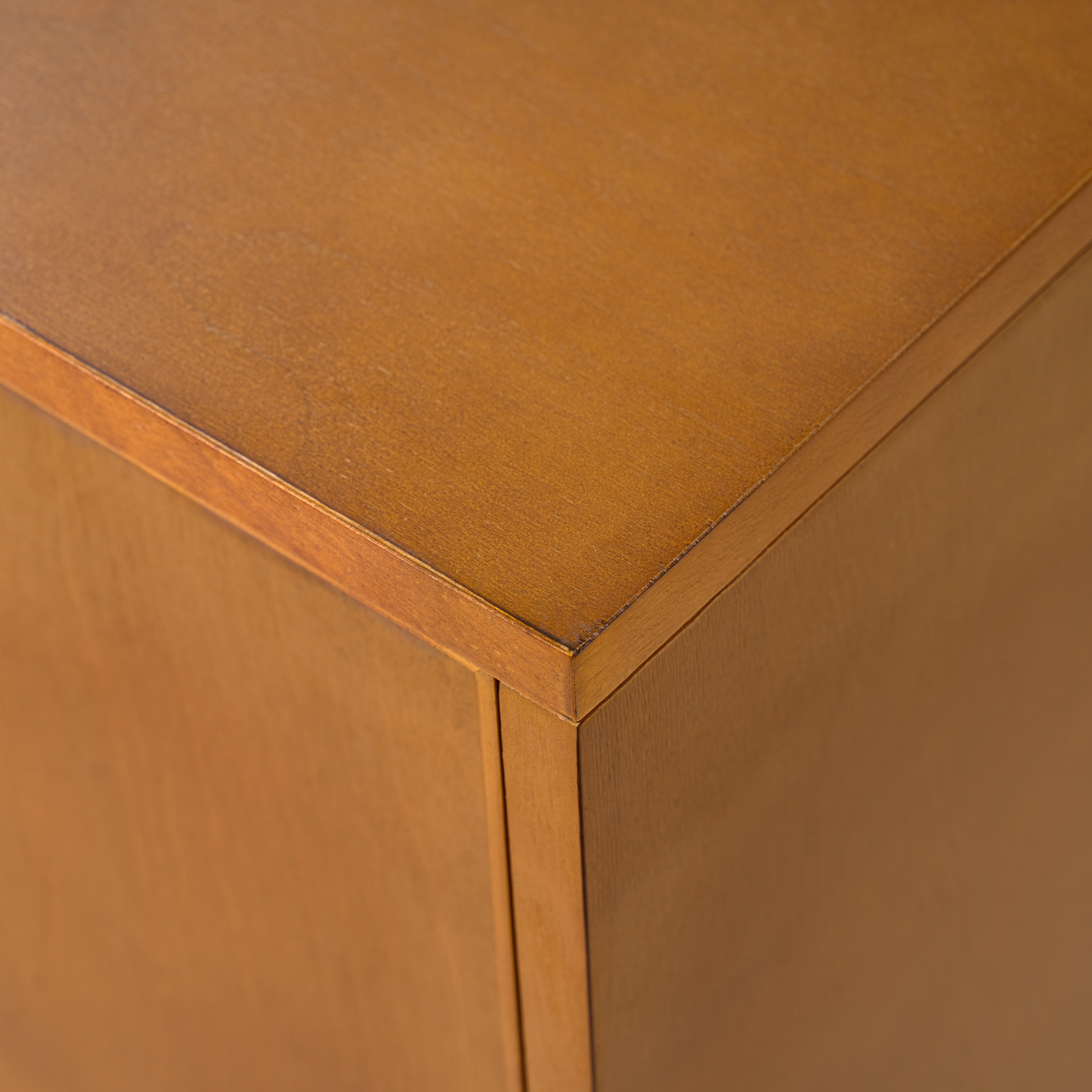 Anita 2-Door Accent Cabinet with Adjustable Shelves