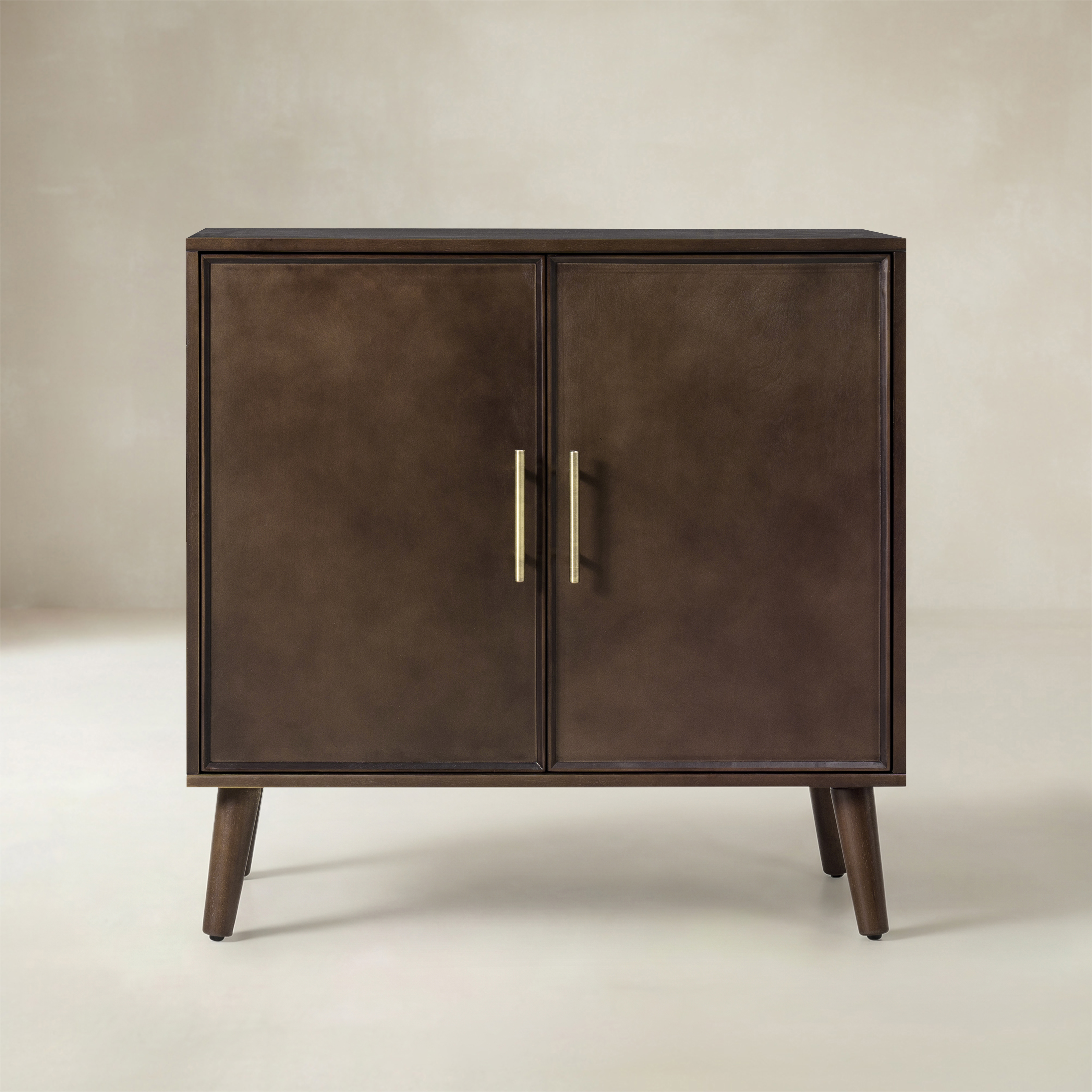 Anita 2-Door Accent Cabinet with Adjustable Shelves