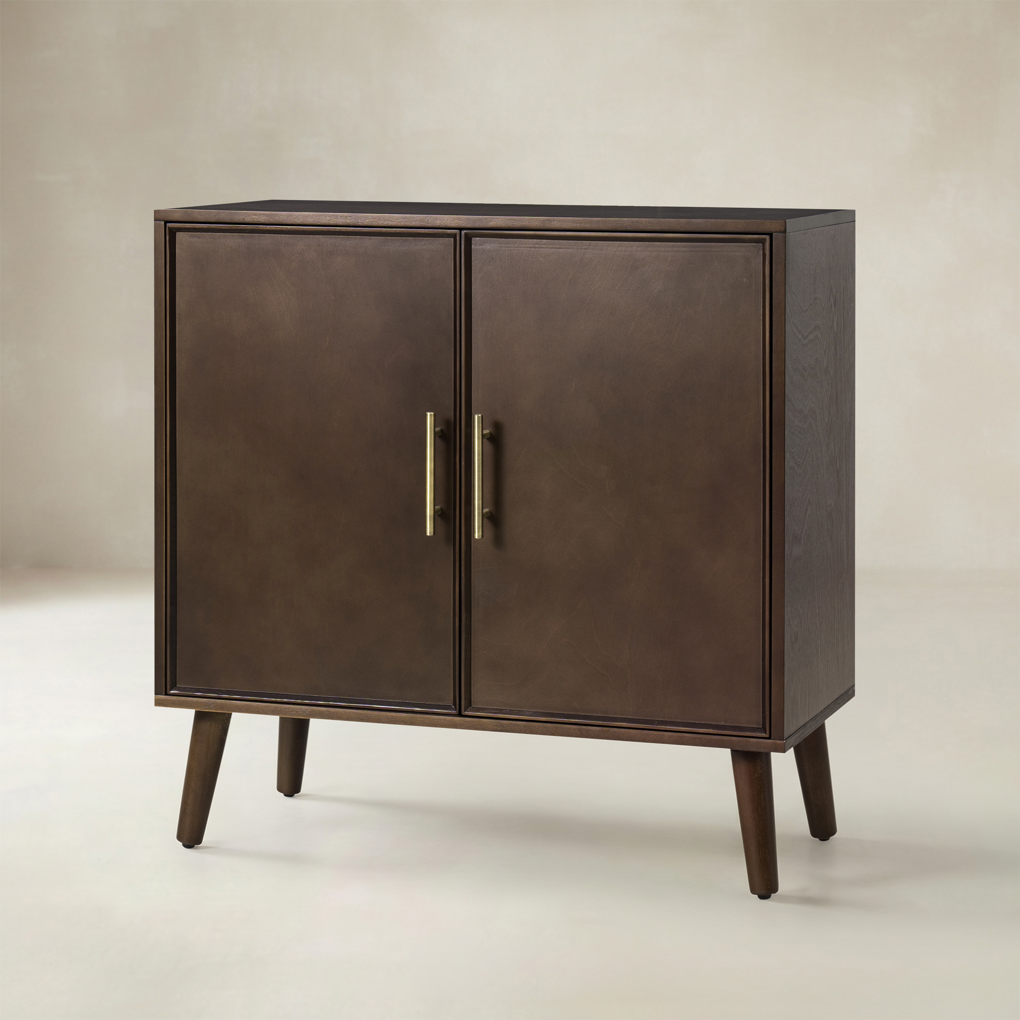Anita 2-Door Accent Cabinet with Adjustable Shelves