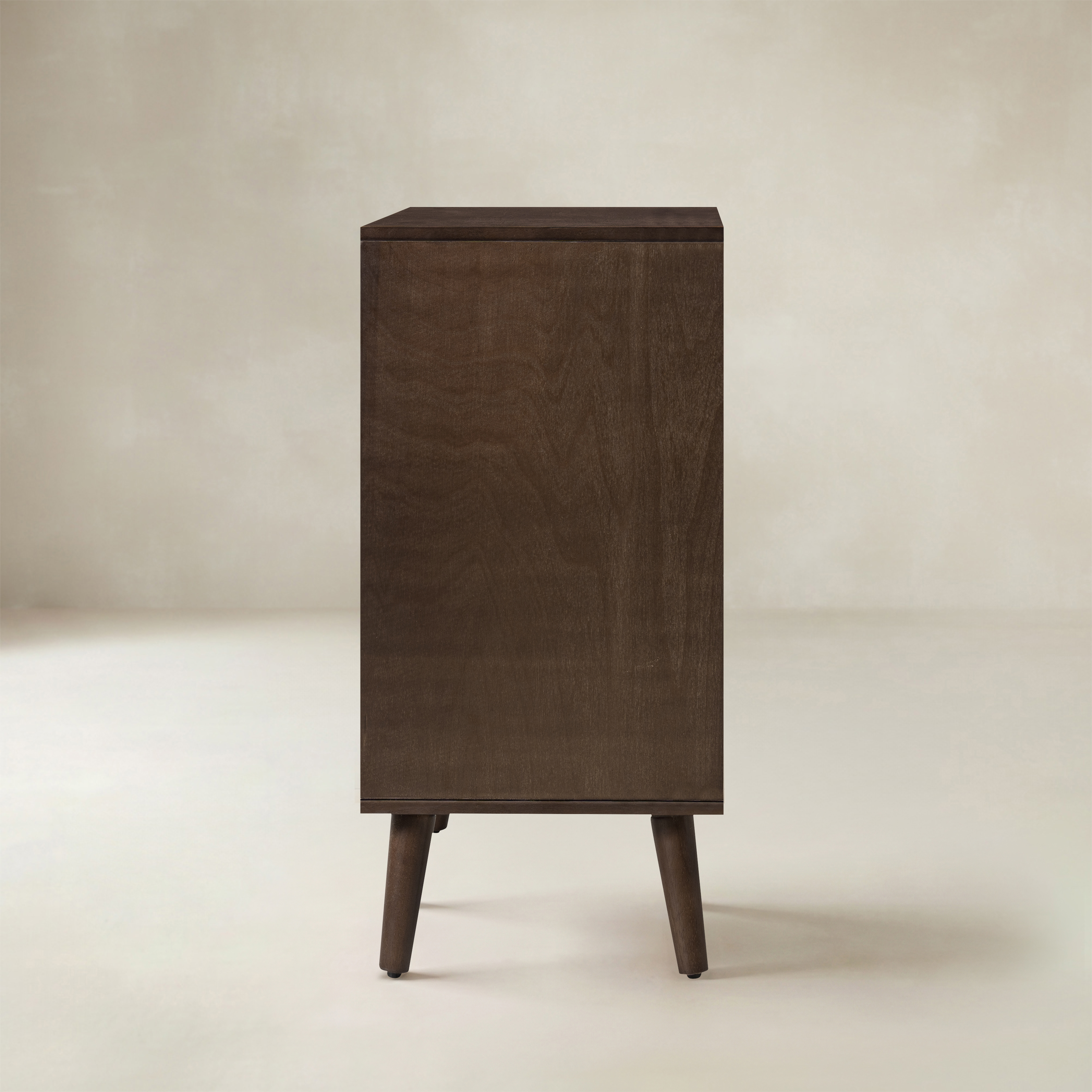 Anita 2-Door Accent Cabinet with Adjustable Shelves
