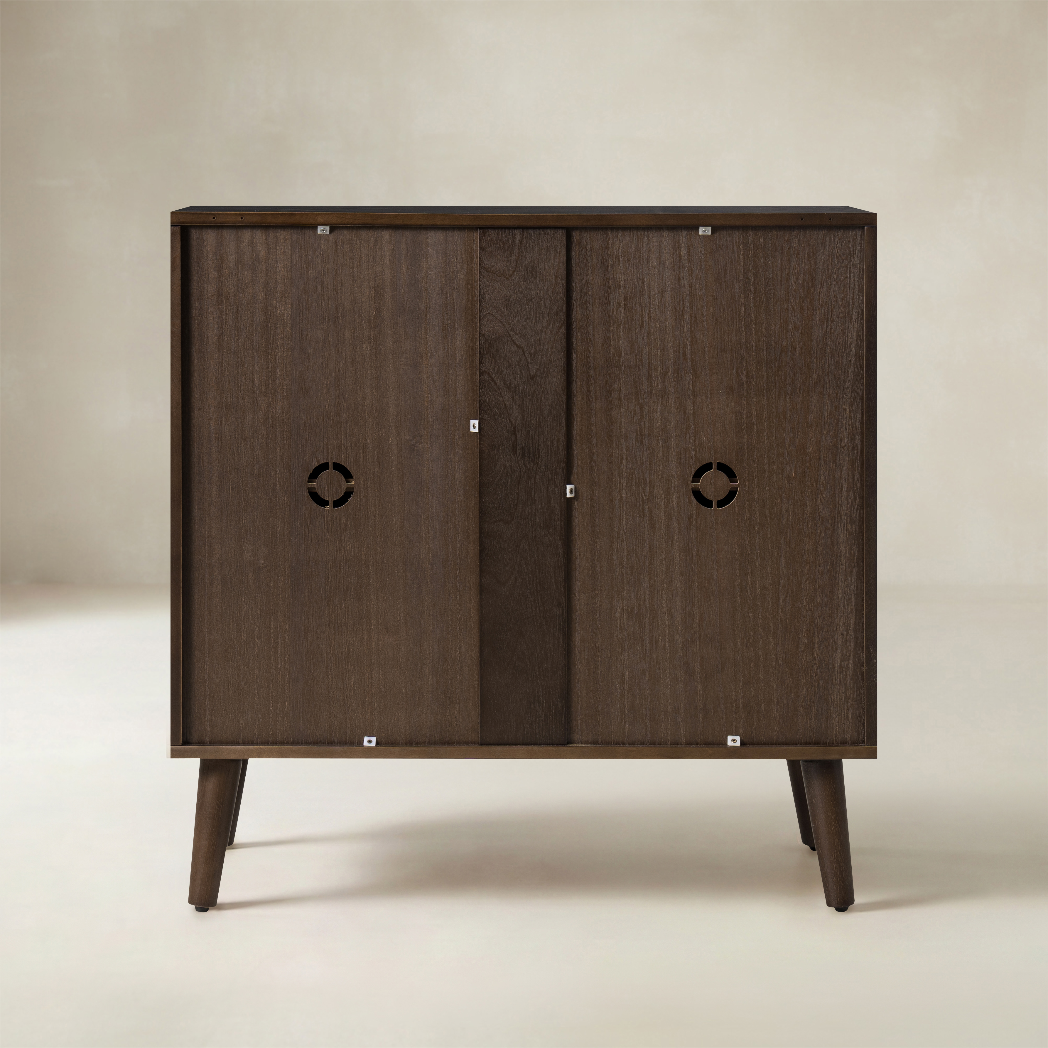 Anita 2-Door Accent Cabinet with Adjustable Shelves