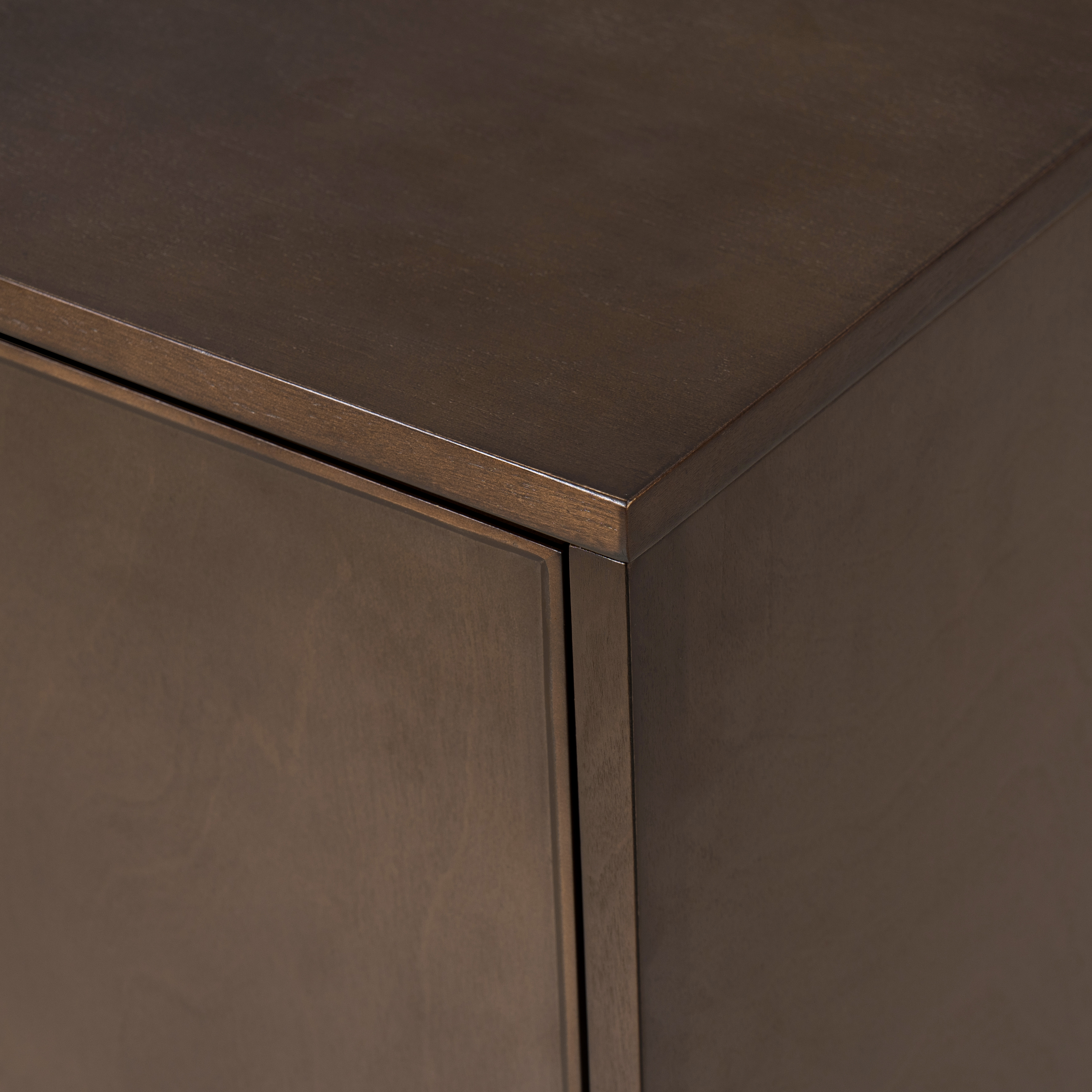 Anita 2-Door Accent Cabinet with Adjustable Shelves