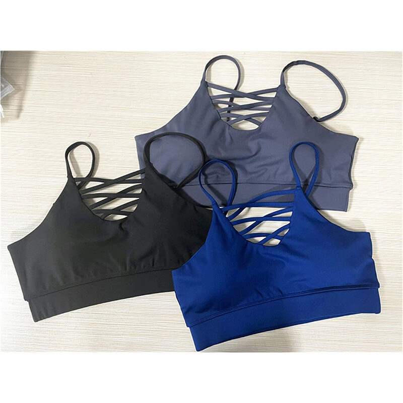 Workout Fitness Sports Bra