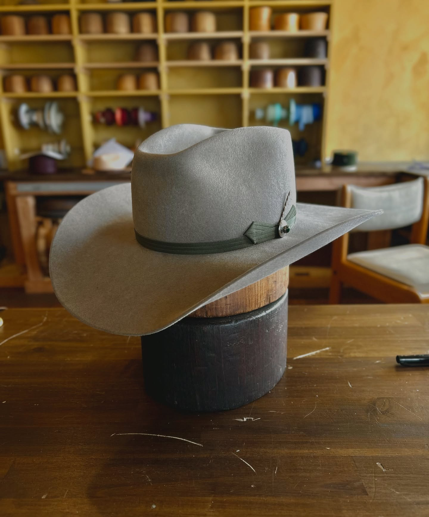 Natural Calvary Beaver