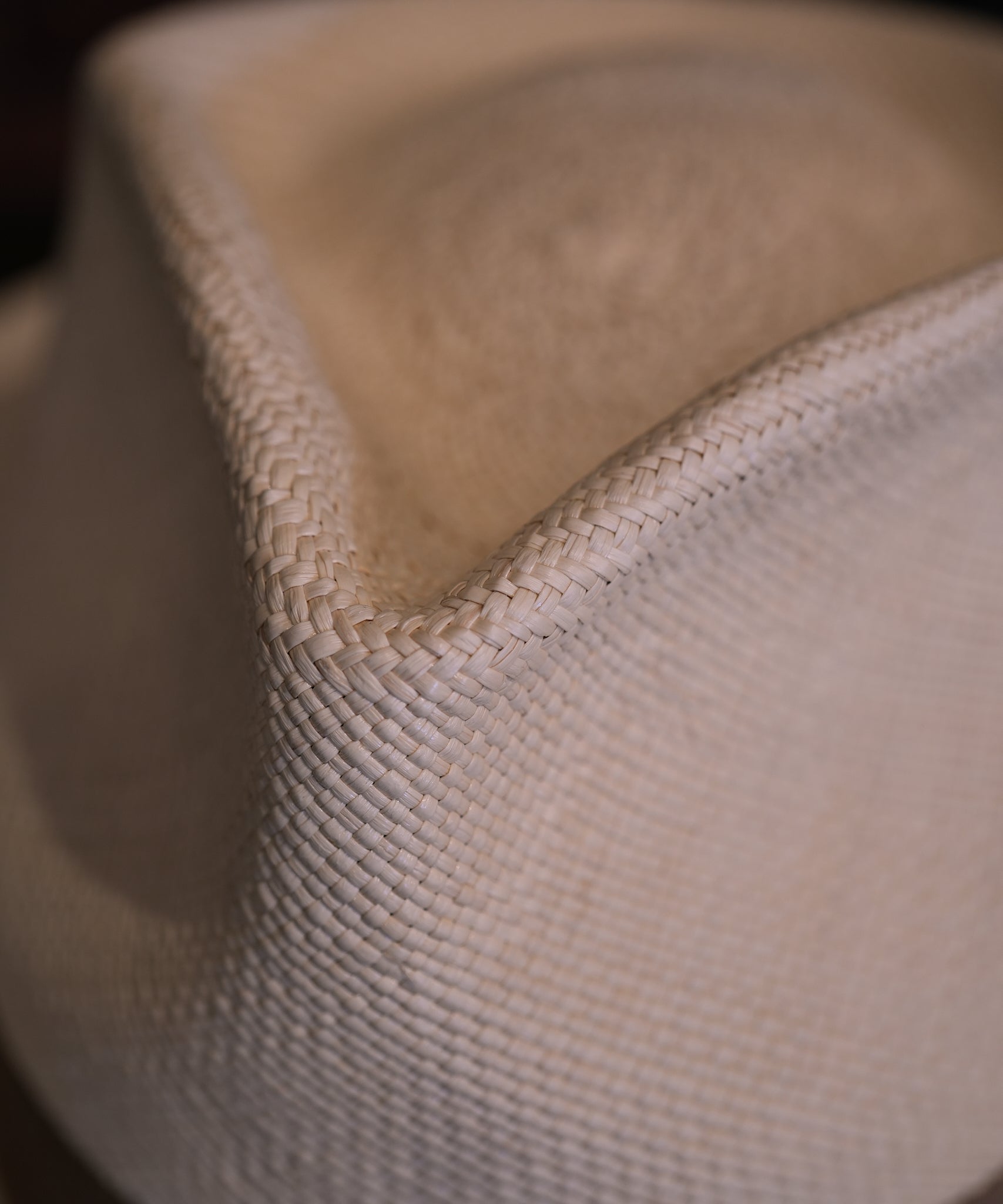 JOHHNY PANAMA / Grade3 Panama Quality