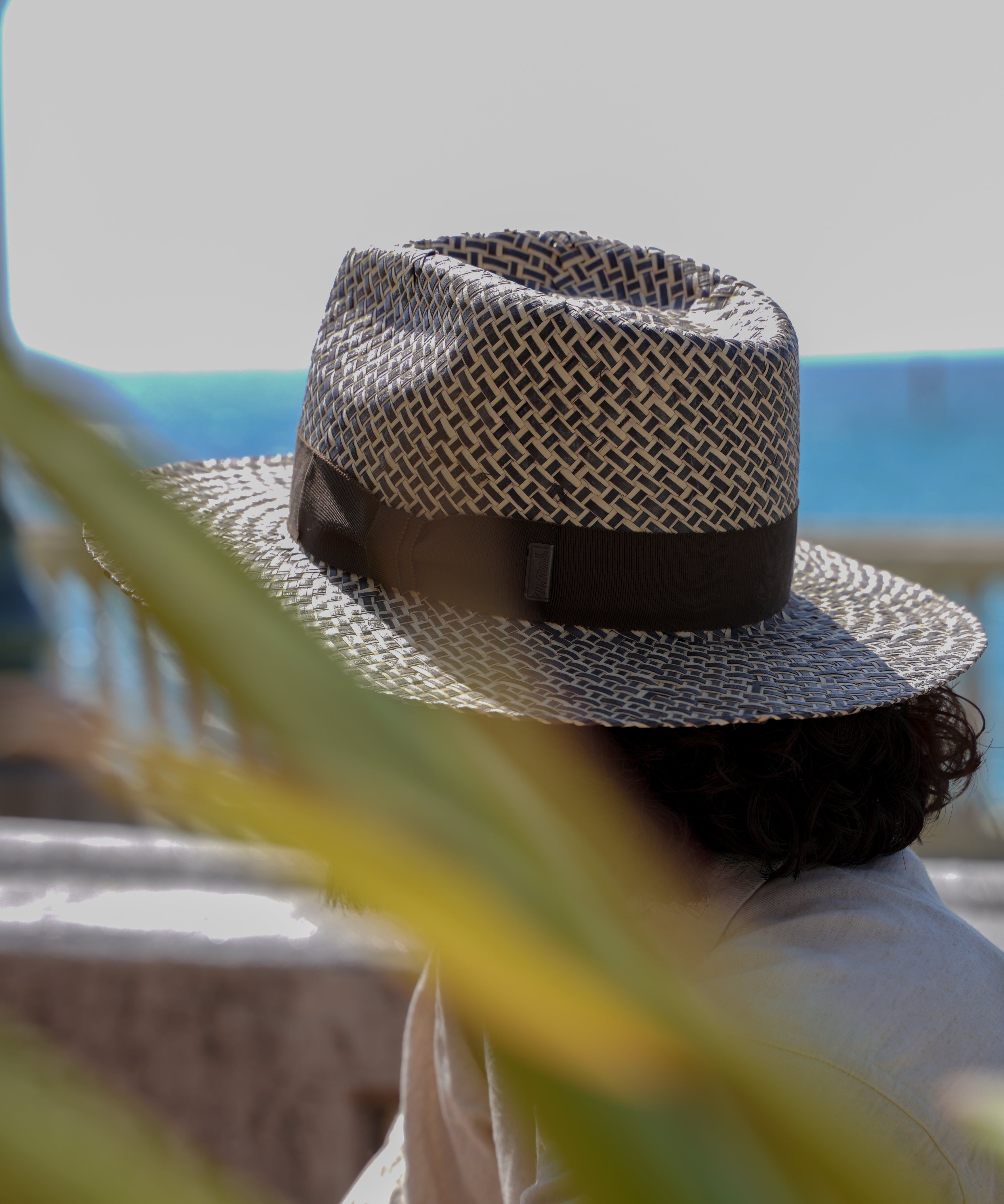 BIRDS EYE COCONUT W　6261003