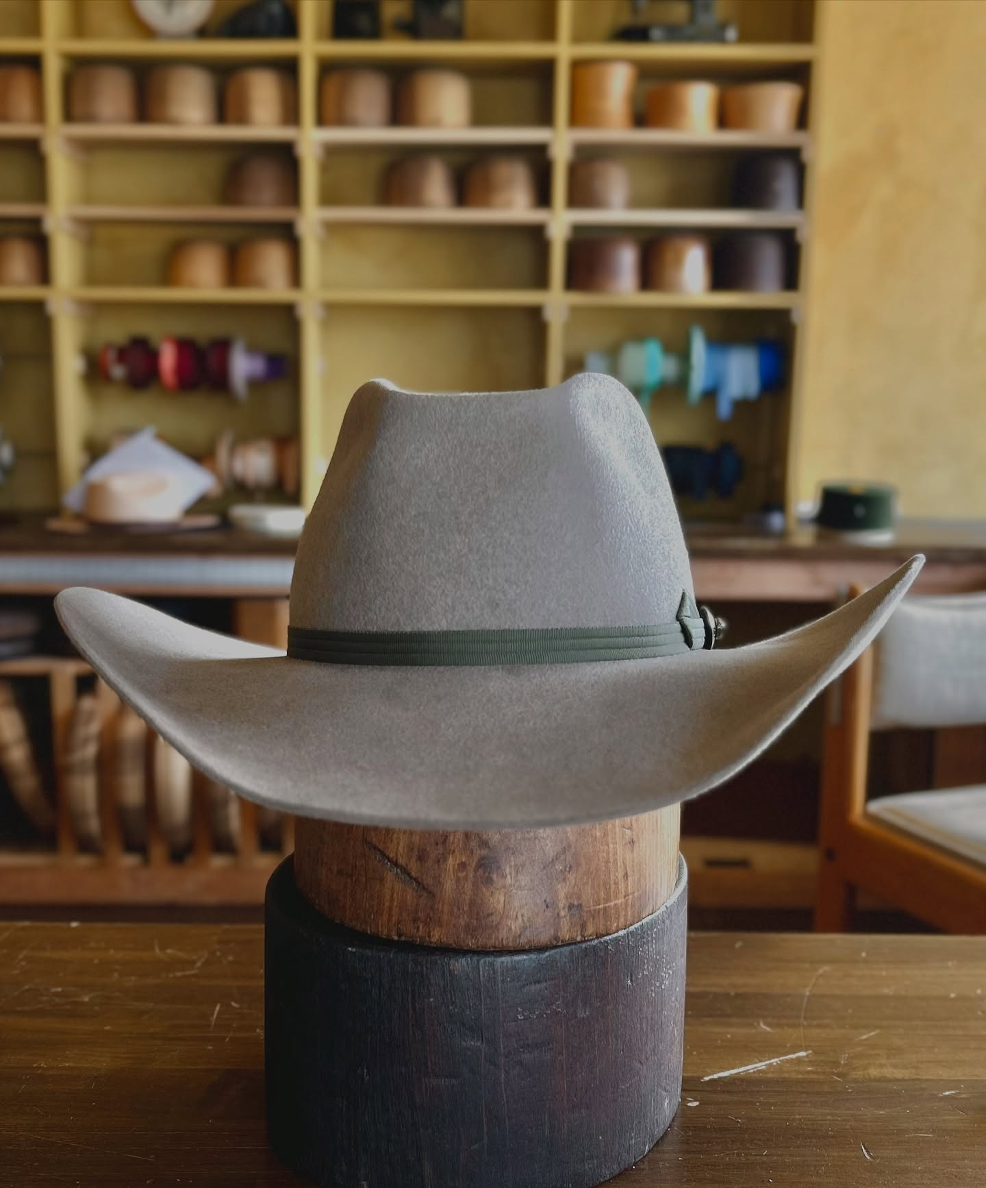 Natural Calvary Beaver