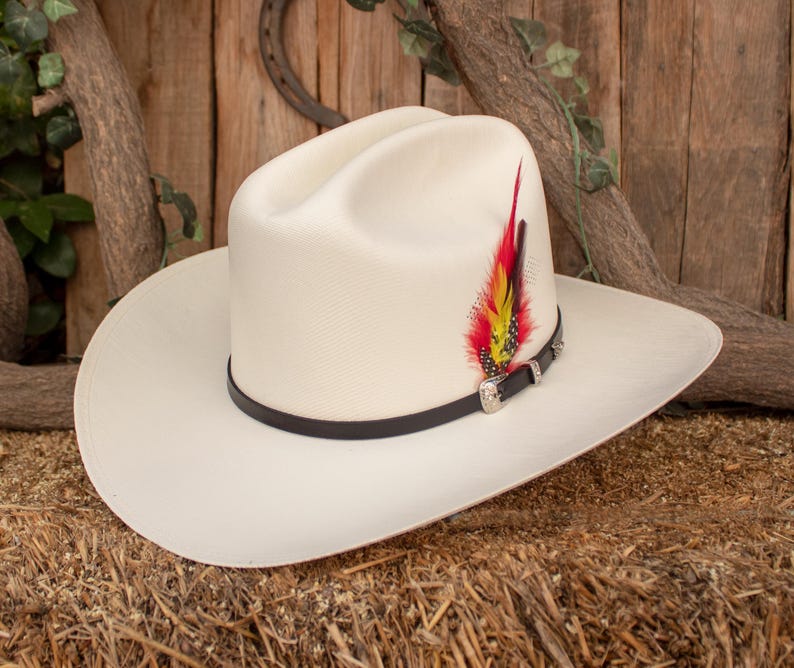 Natural STRAW Western Cowboy hat with feather SOMBRERO