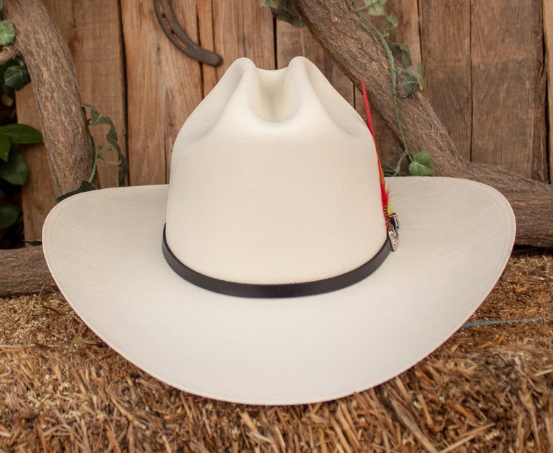 Natural STRAW Western Cowboy hat with feather SOMBRERO