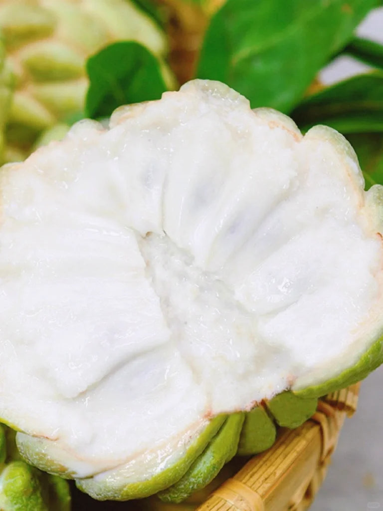 🍏 Σπόροι γλυκιάς μήλου (Cukor alma)