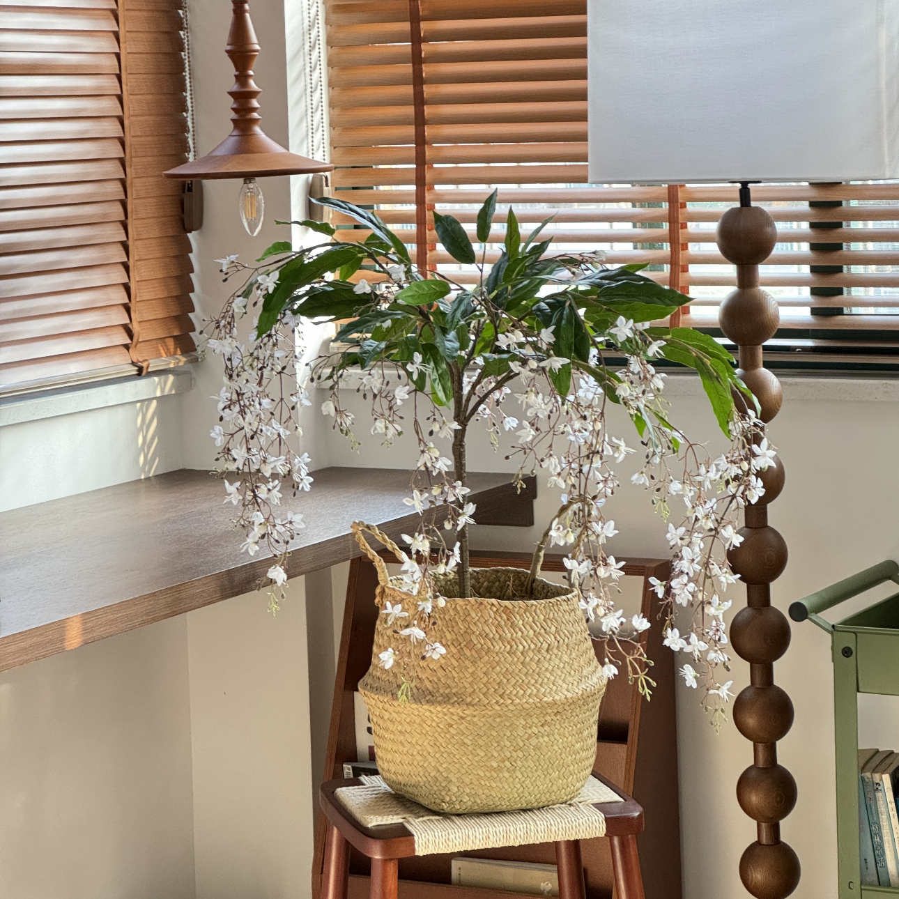 💐 Nocny Perfum – Nasiona Płaczącego Jaśminu 🌸