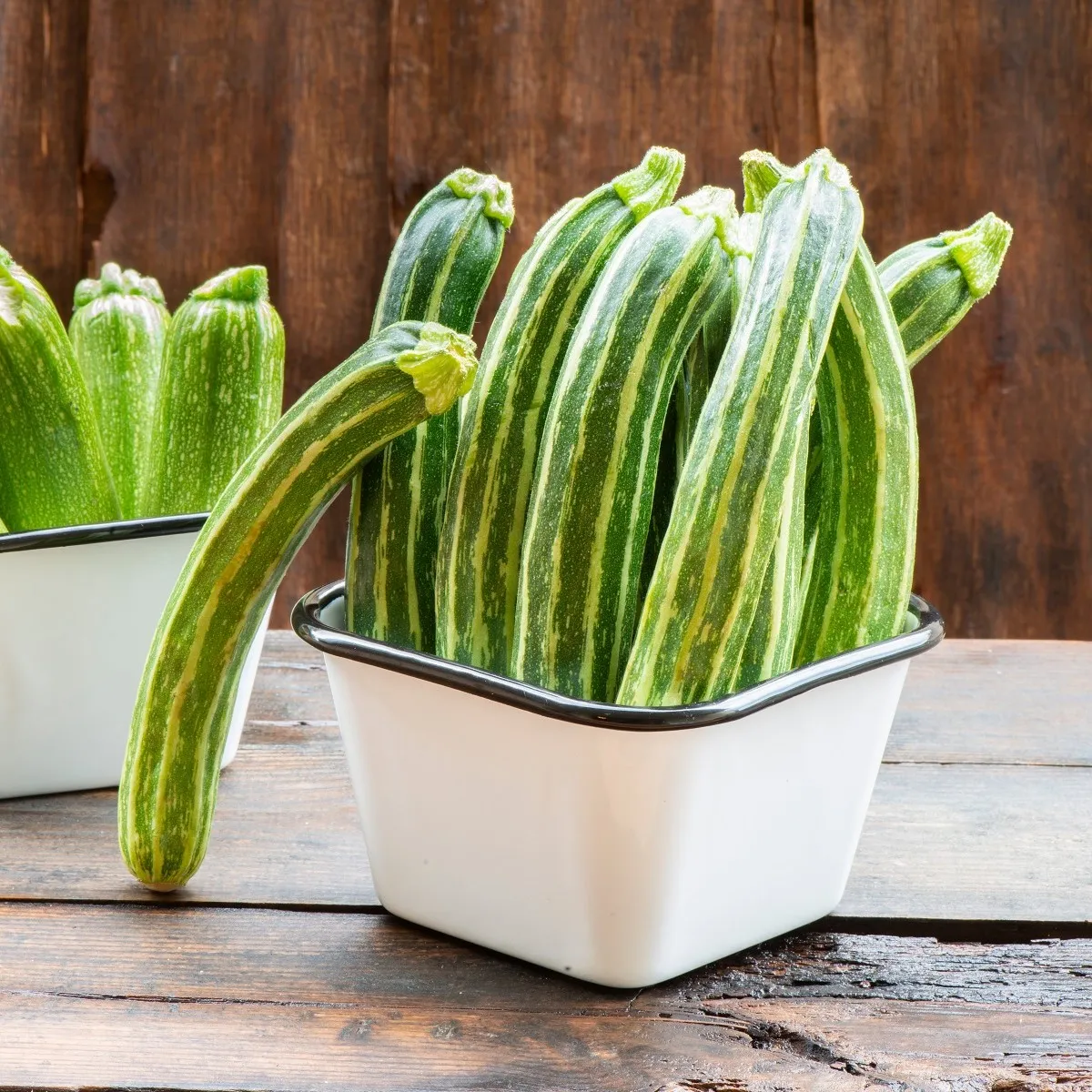 BIO Cuketa Green Tiger F1 - Cucurbita pepo - bio semená cukety