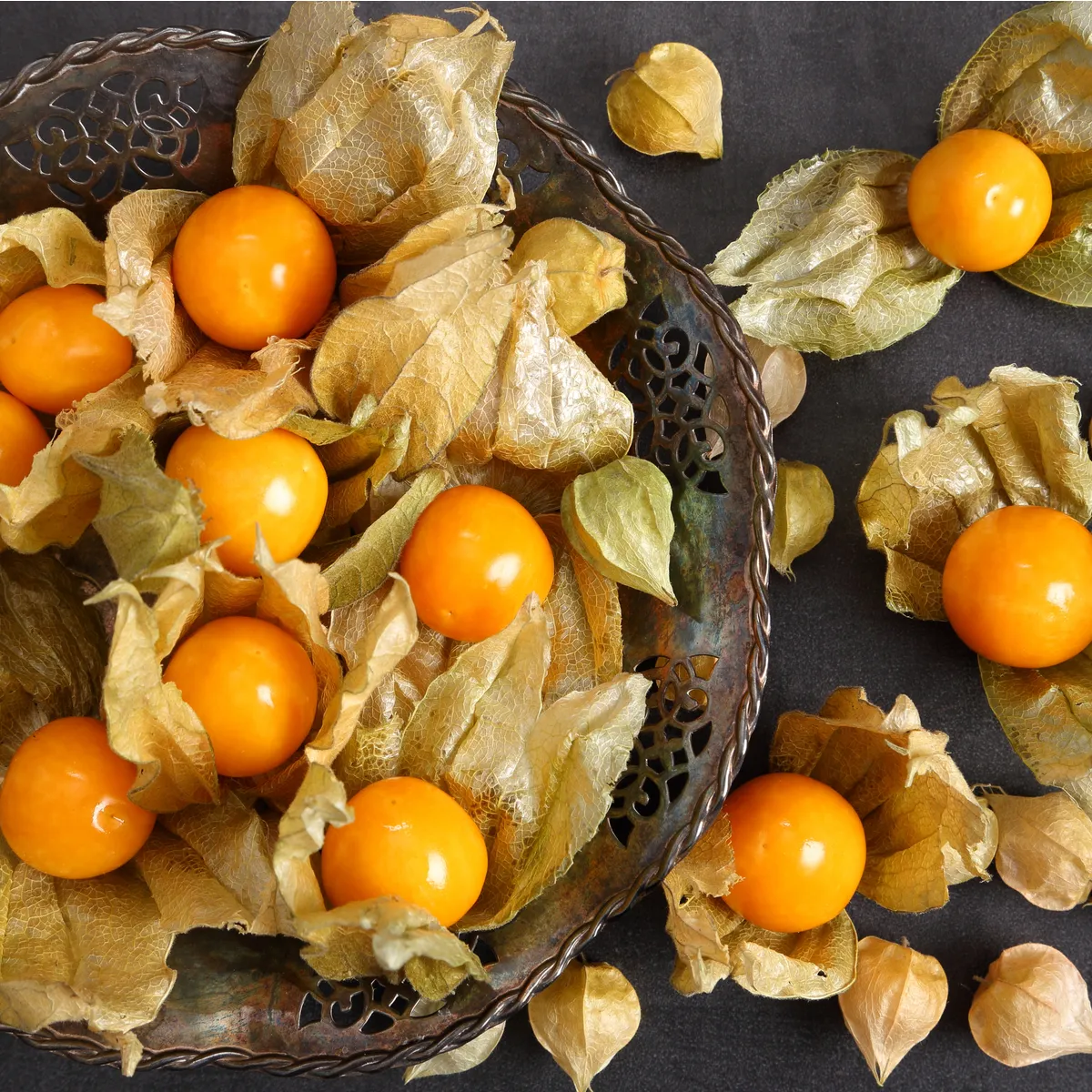 Machovka peruánska - Physalis peruviana - semená machovky