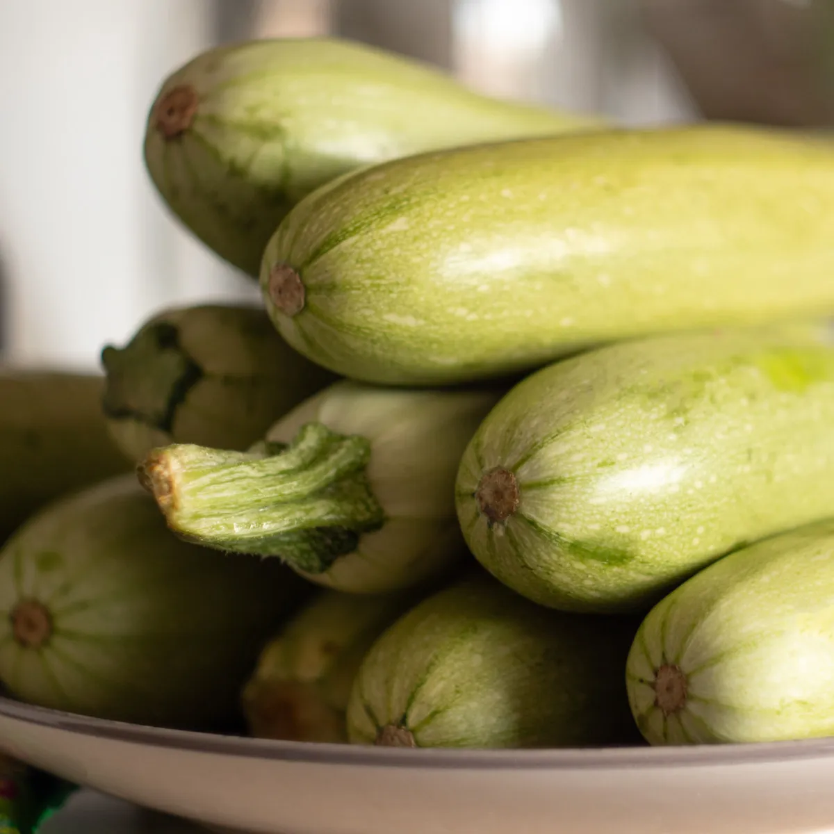 Cuketa Lungo Bianco - Cucurbita pepo - semená cukety