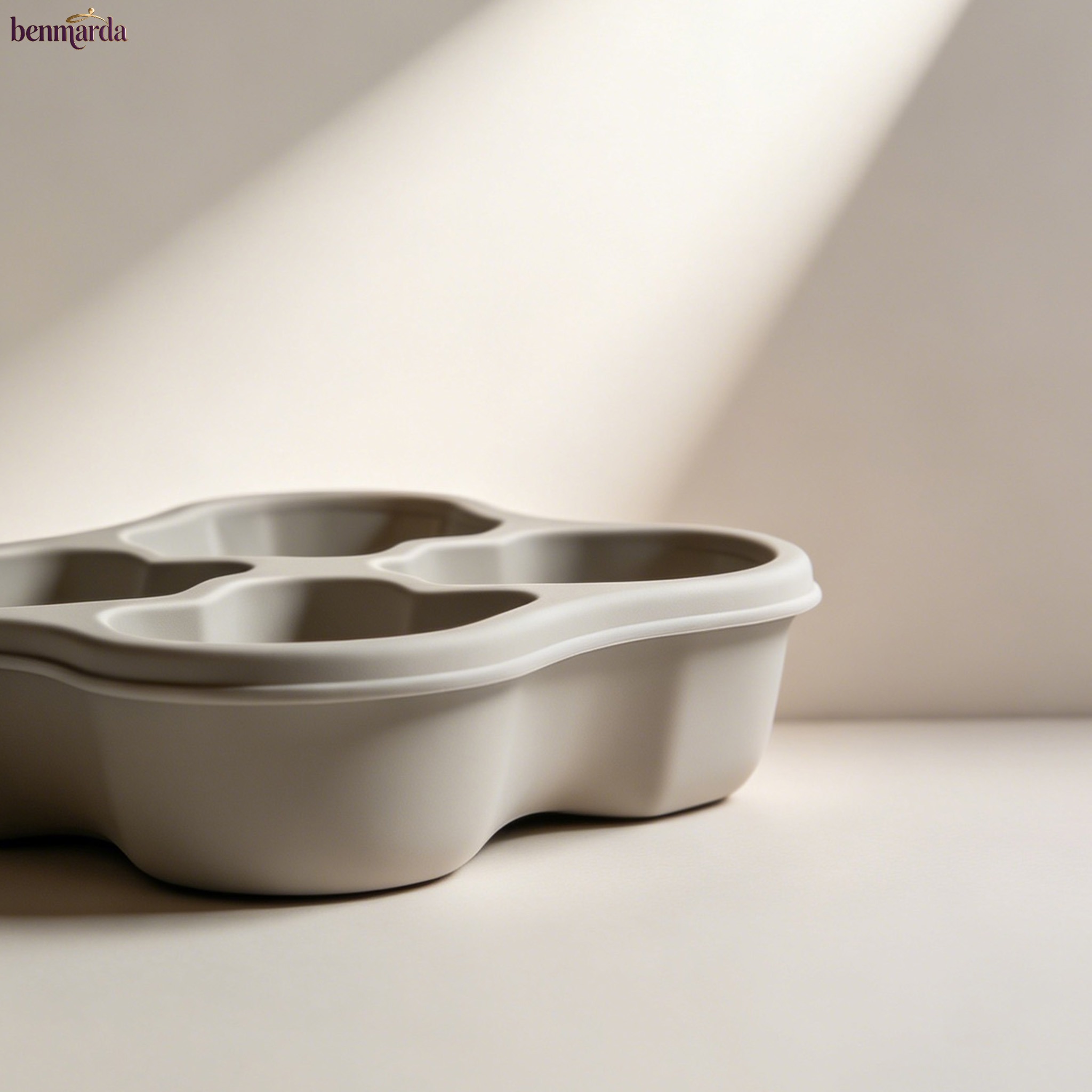 Silicone ice cube trays (10 pieces)