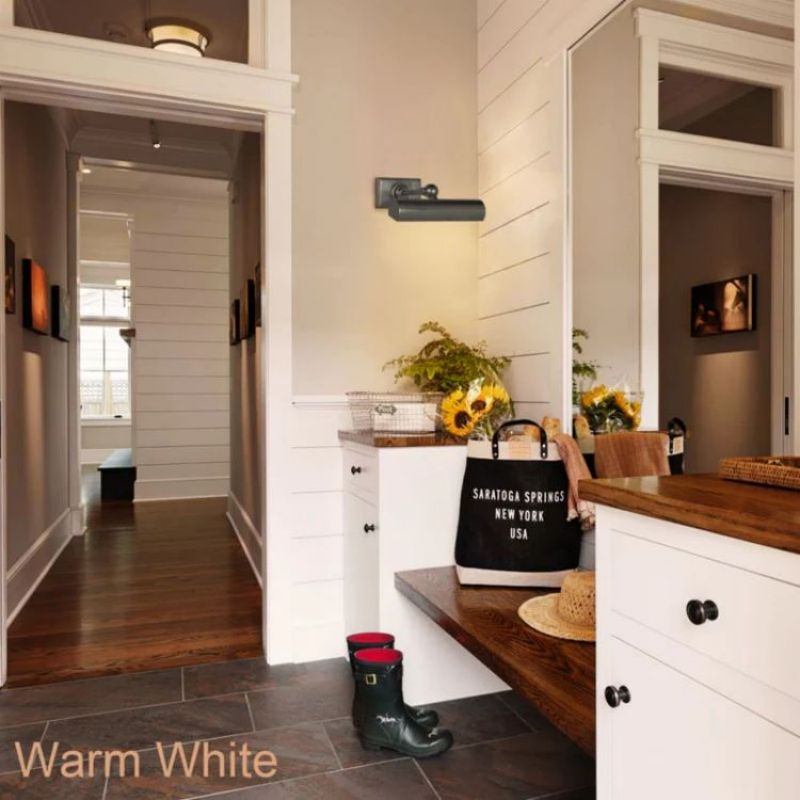 Art Xandra Picture Light 8" 18" 24" 30" - thebelacan