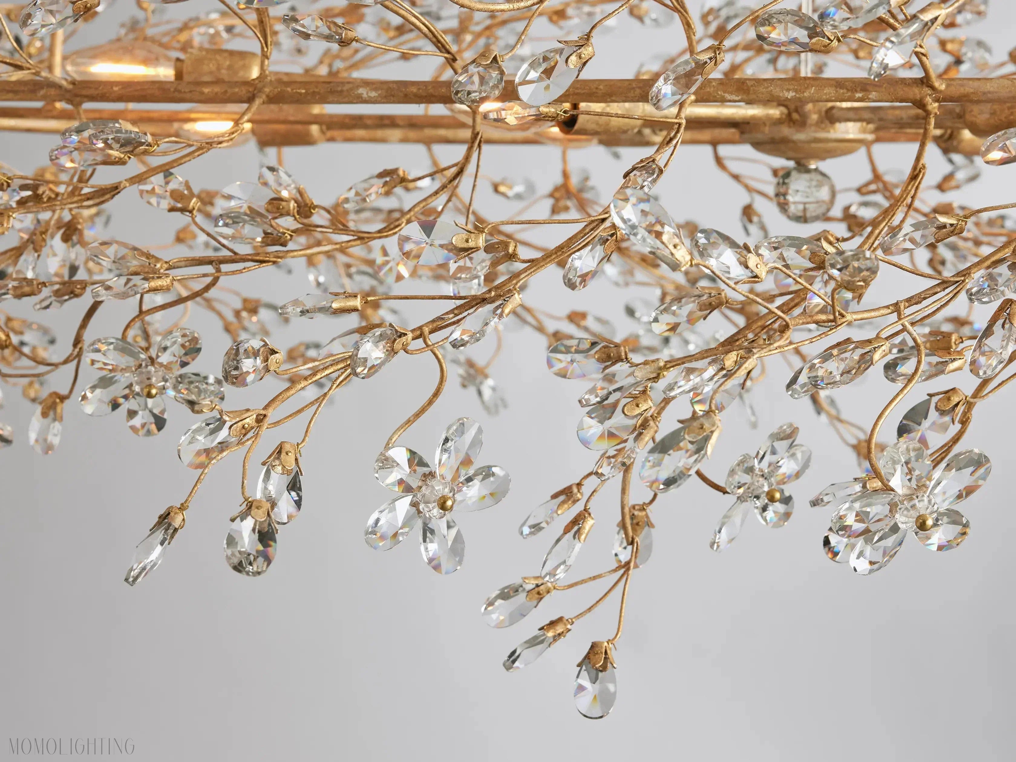 Fiore Oval Chandelier - thebelacan