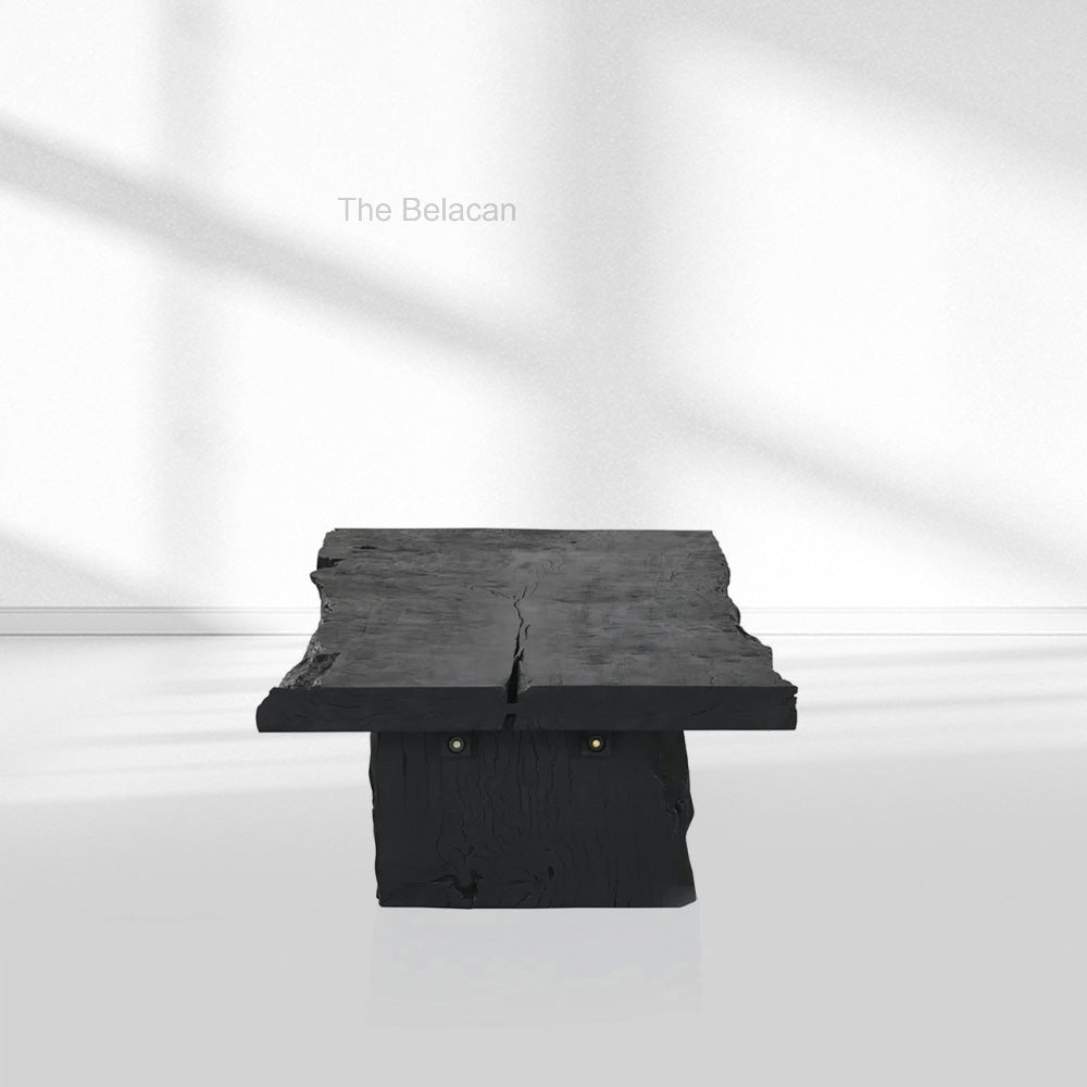 NobPremier Rectangular Coffee Table - thebelacan