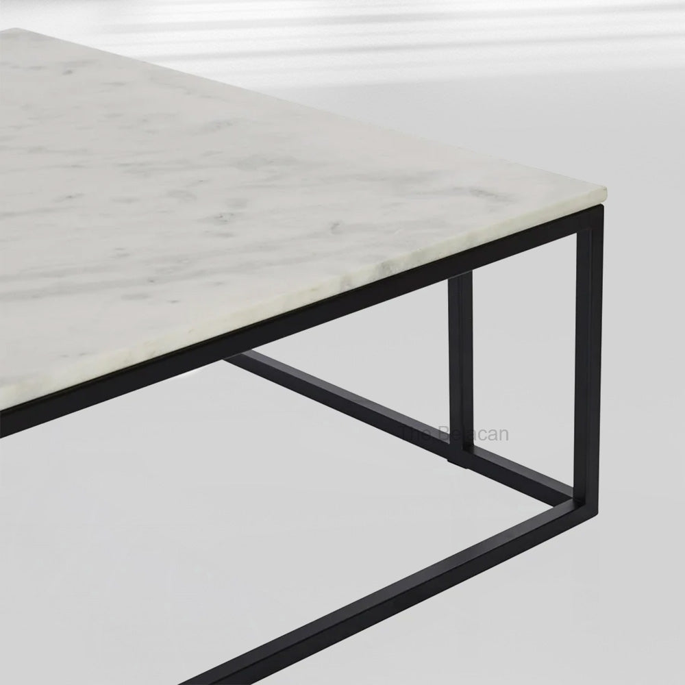 NomVerve Marble Coffee Table - thebelacan