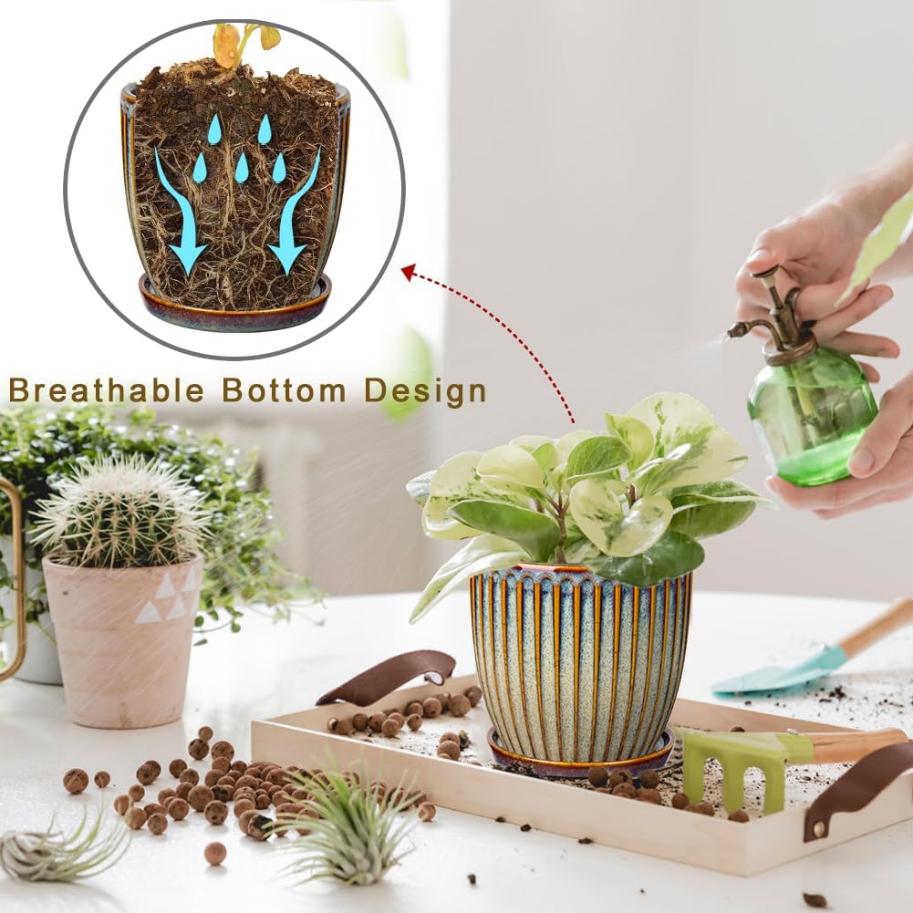 Ceramic Pots for Indoor Plants