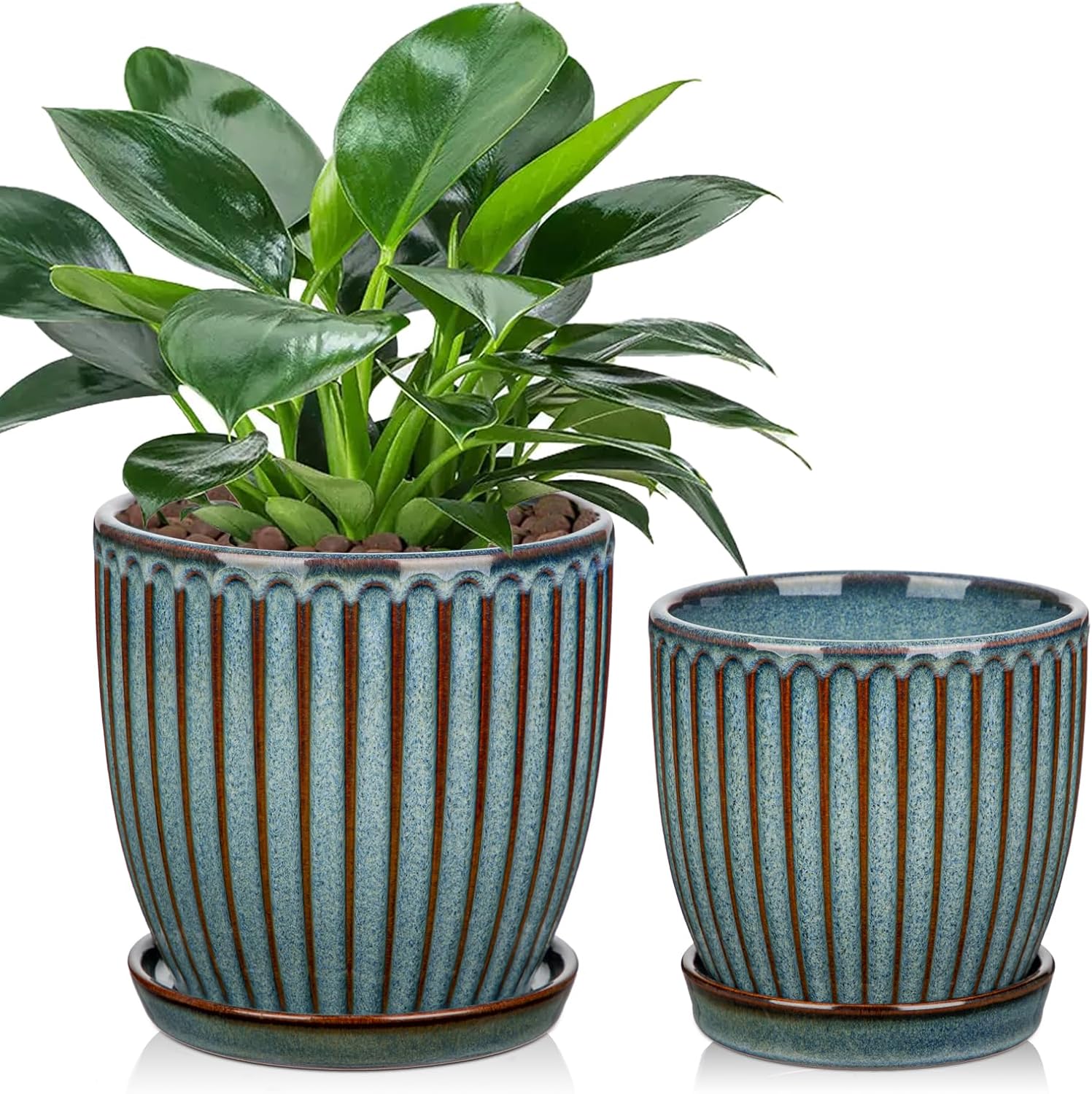 Ceramic Pots for Indoor Plants