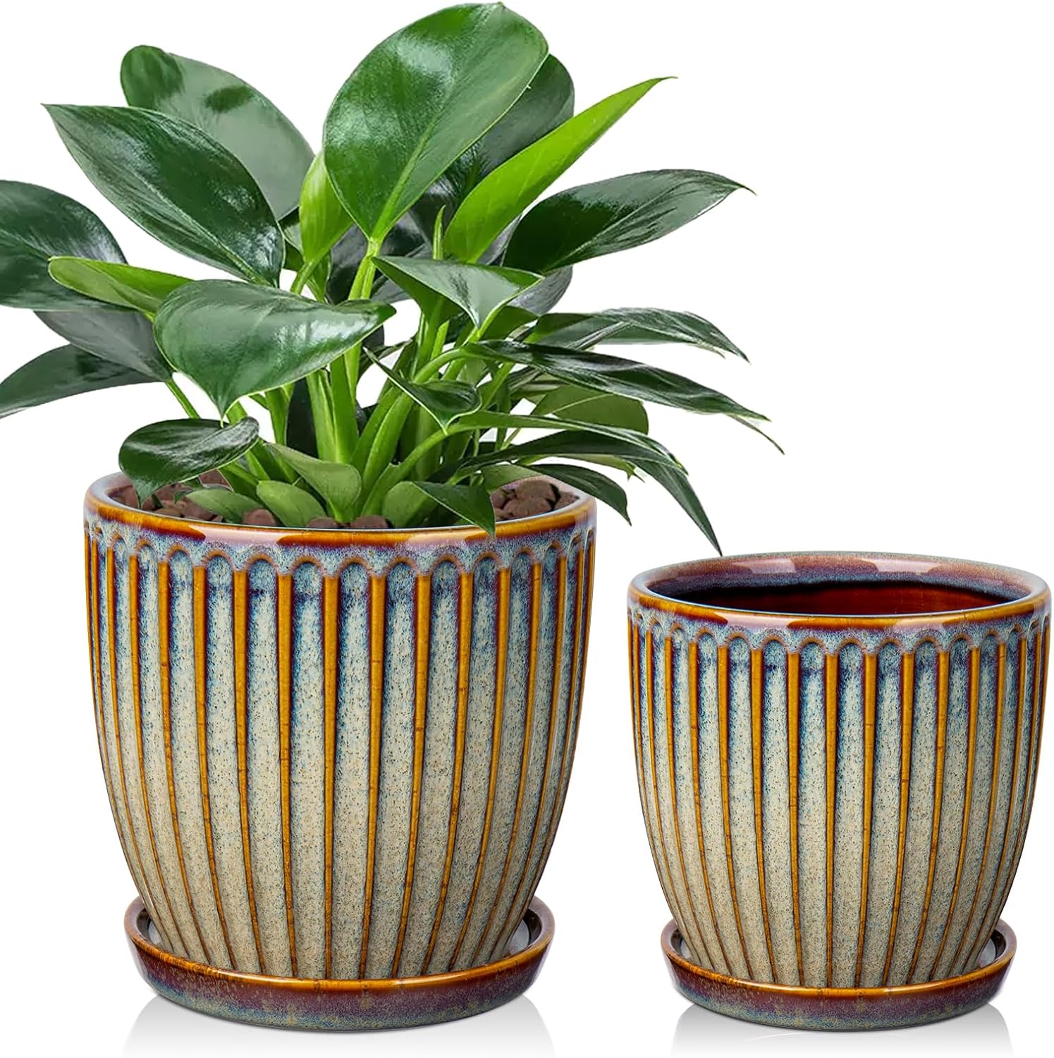 Ceramic Pots for Indoor Plants