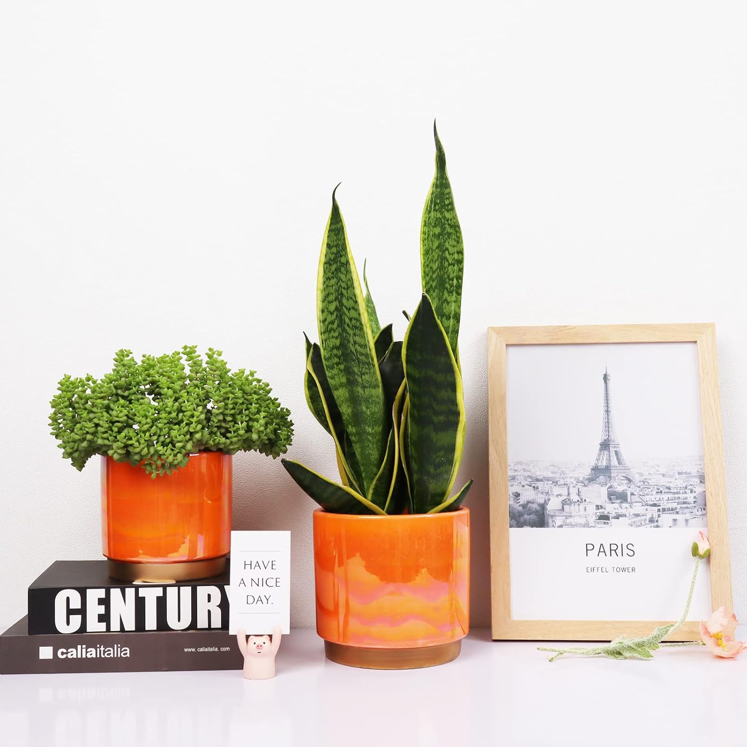  Ceramic Indoor Pots for Plants