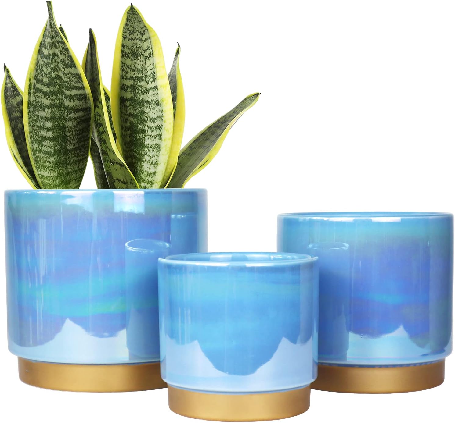  Ceramic Indoor Pots for Plants