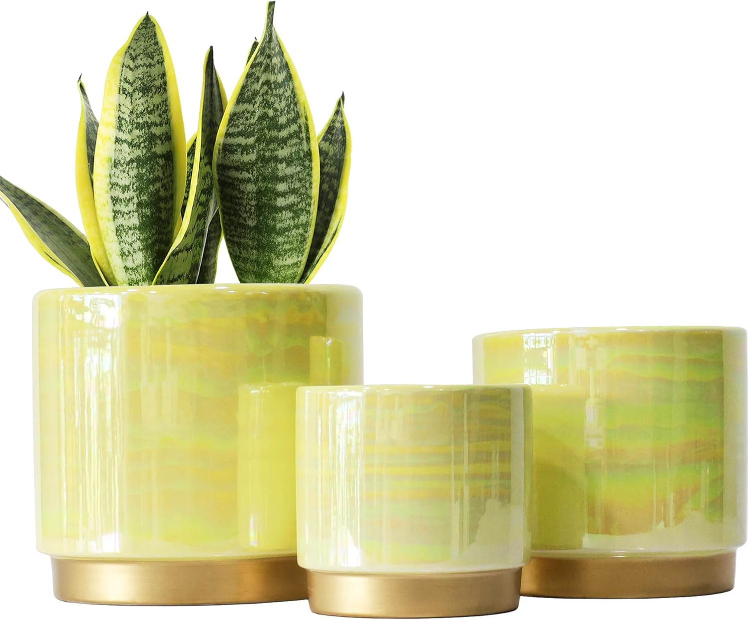  Ceramic Indoor Pots for Plants