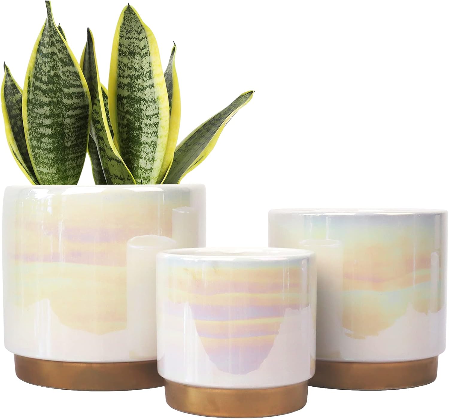  Ceramic Indoor Pots for Plants