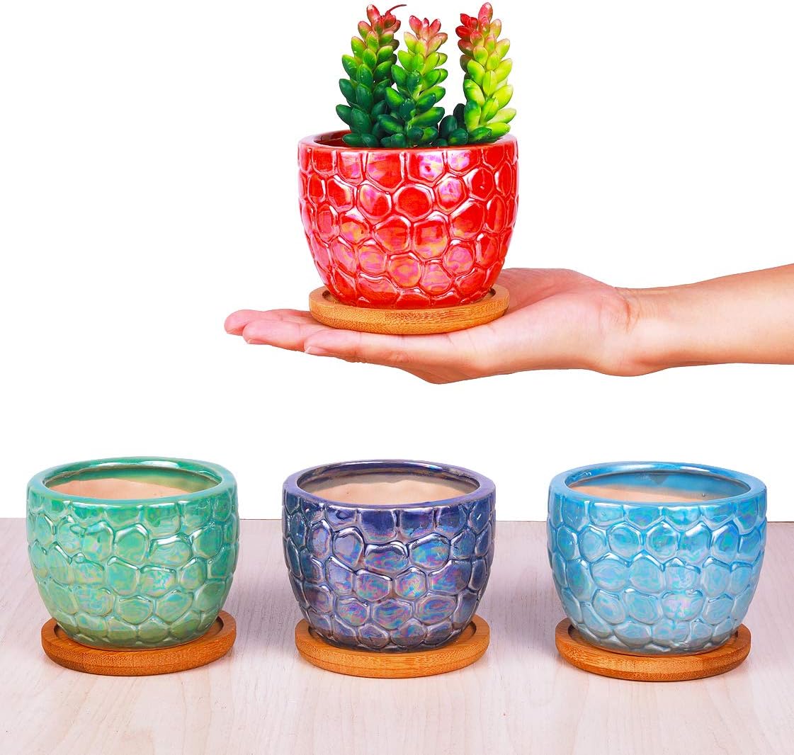 3.5 Inches Ceramic Succulent Planters, Colorful Bonsai Pots for Window Desk Home Decor with Bamboo Trays