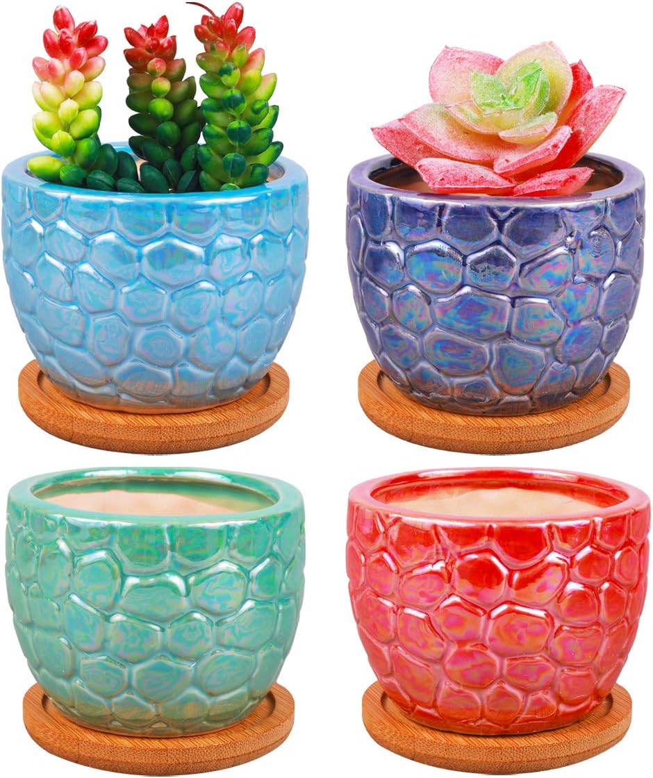 3.5 Inches Ceramic Succulent Planters, Colorful Bonsai Pots for Window Desk Home Decor with Bamboo Trays