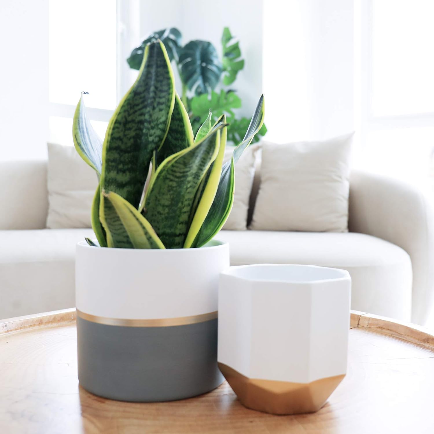 White Ceramic Flower Pot Garden Planters 6.7 Inch Pack 2 Indoor Plant Containers with Gold and Grey Detailing