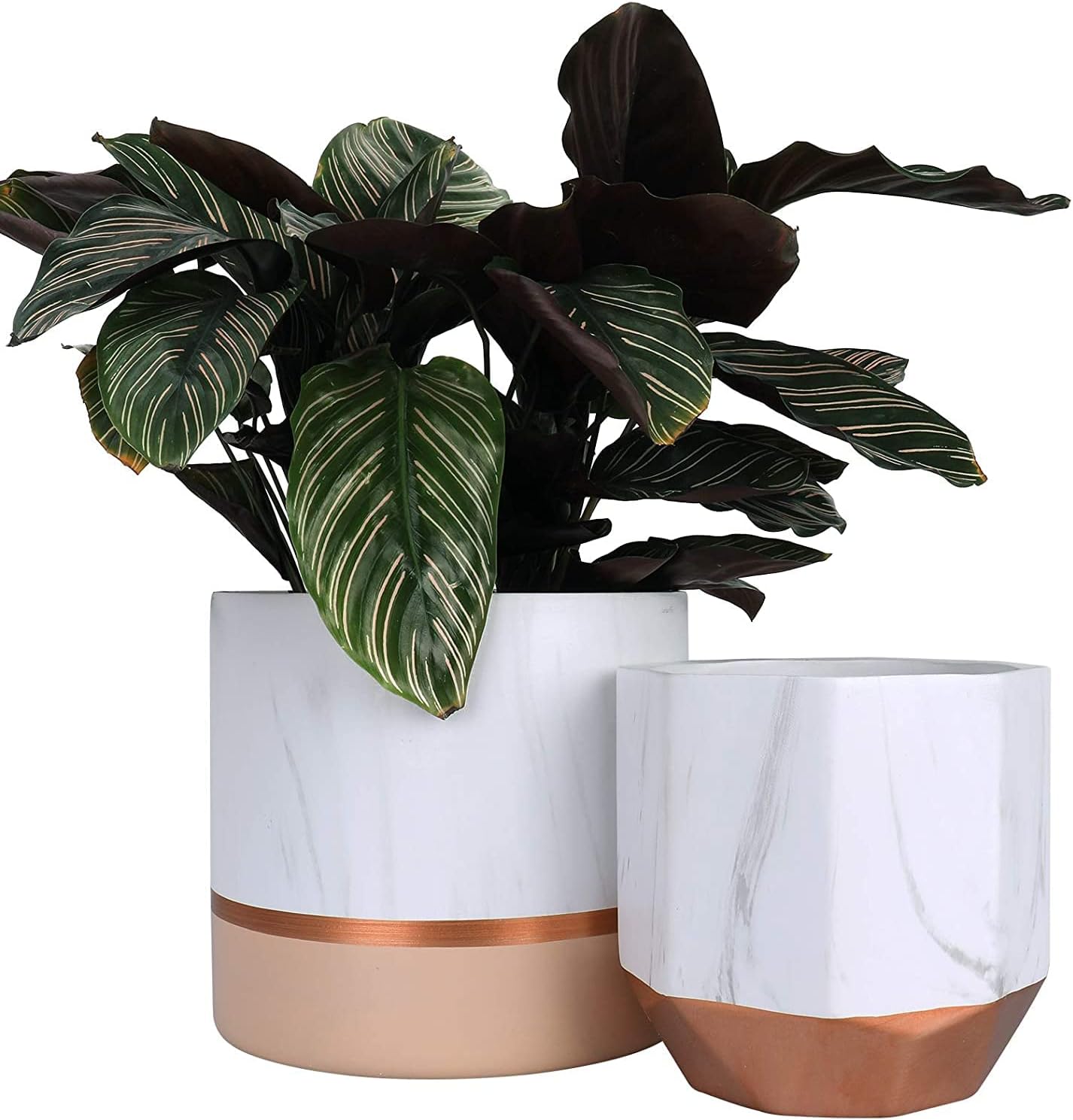 White Ceramic Flower Pot Garden Planters 6.7 Inch Pack 2 Indoor Plant Containers with Gold and Grey Detailing